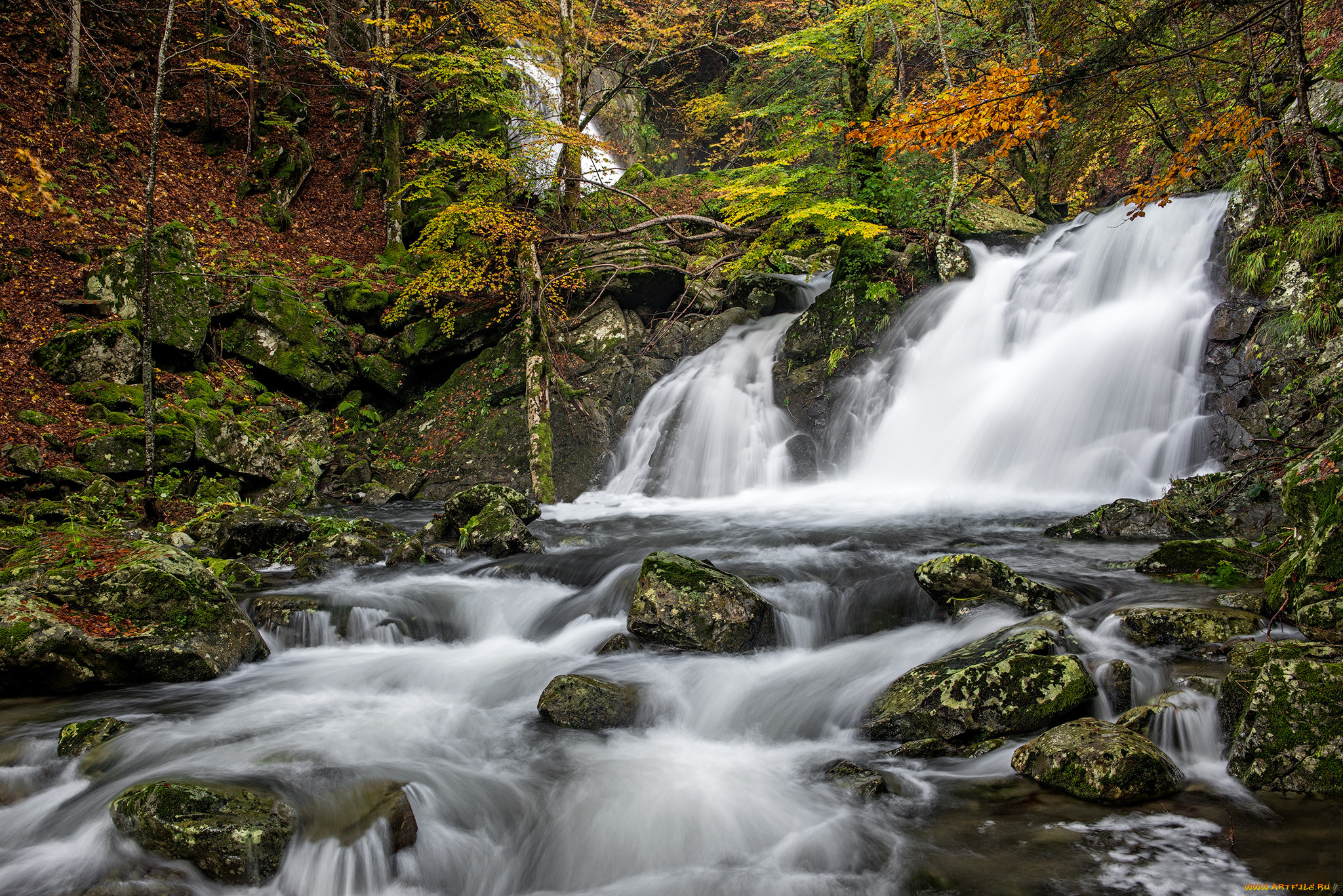 природа, водопады, водопад, река, лес