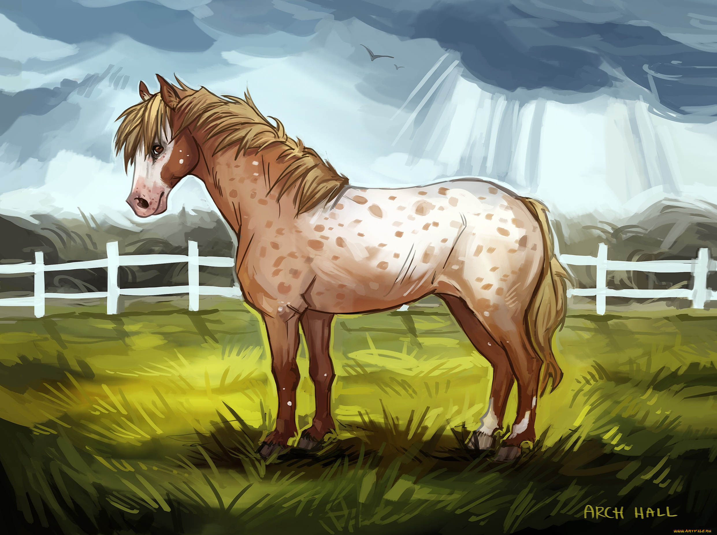 рисованные, животные, , лошади, забор, лошадь