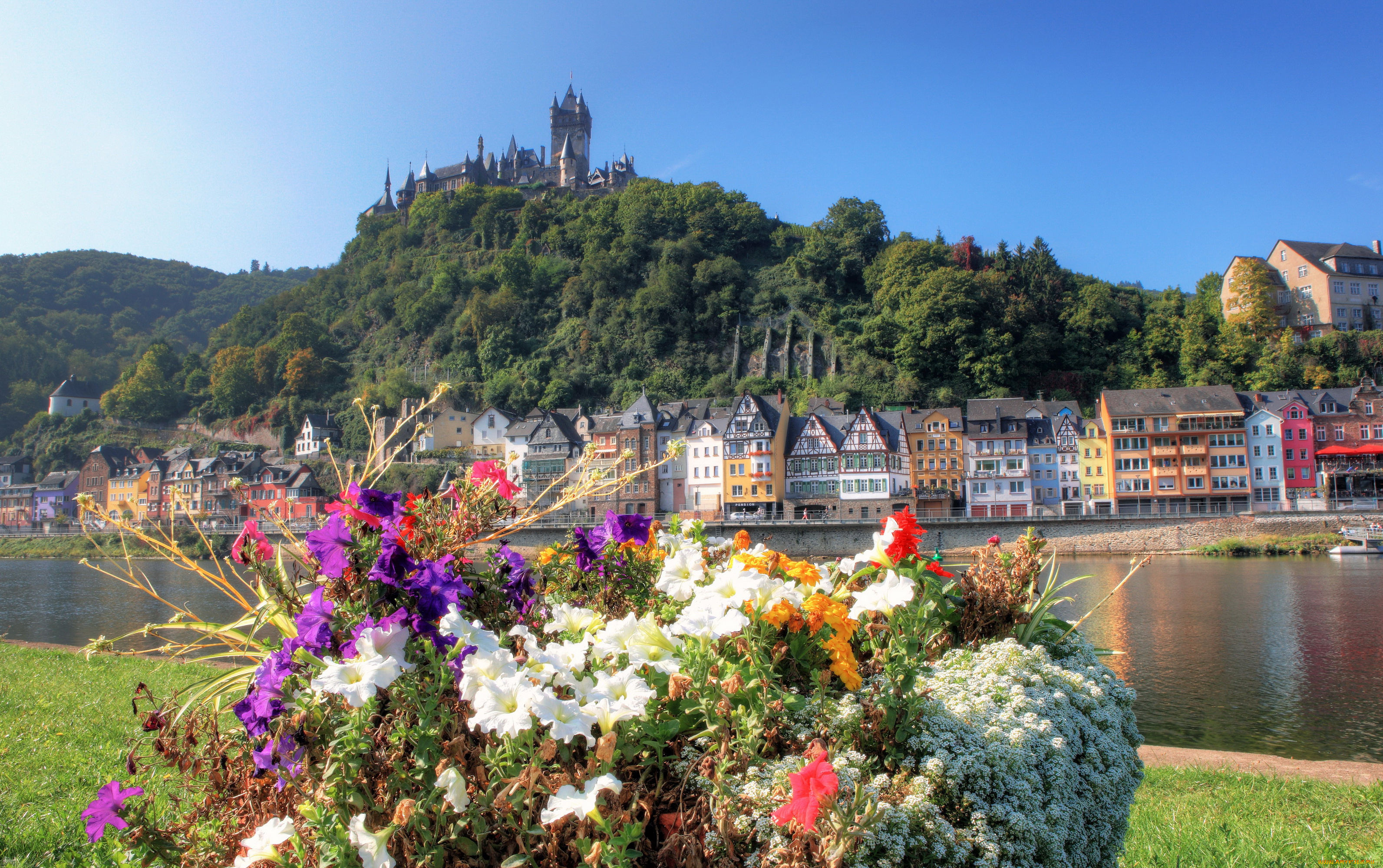 города, -, пейзажи, цветы, река, замок, дома, cochem, кохем