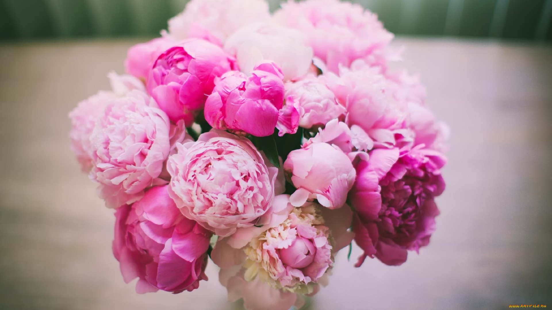 цветы, пионы, букет, розовые