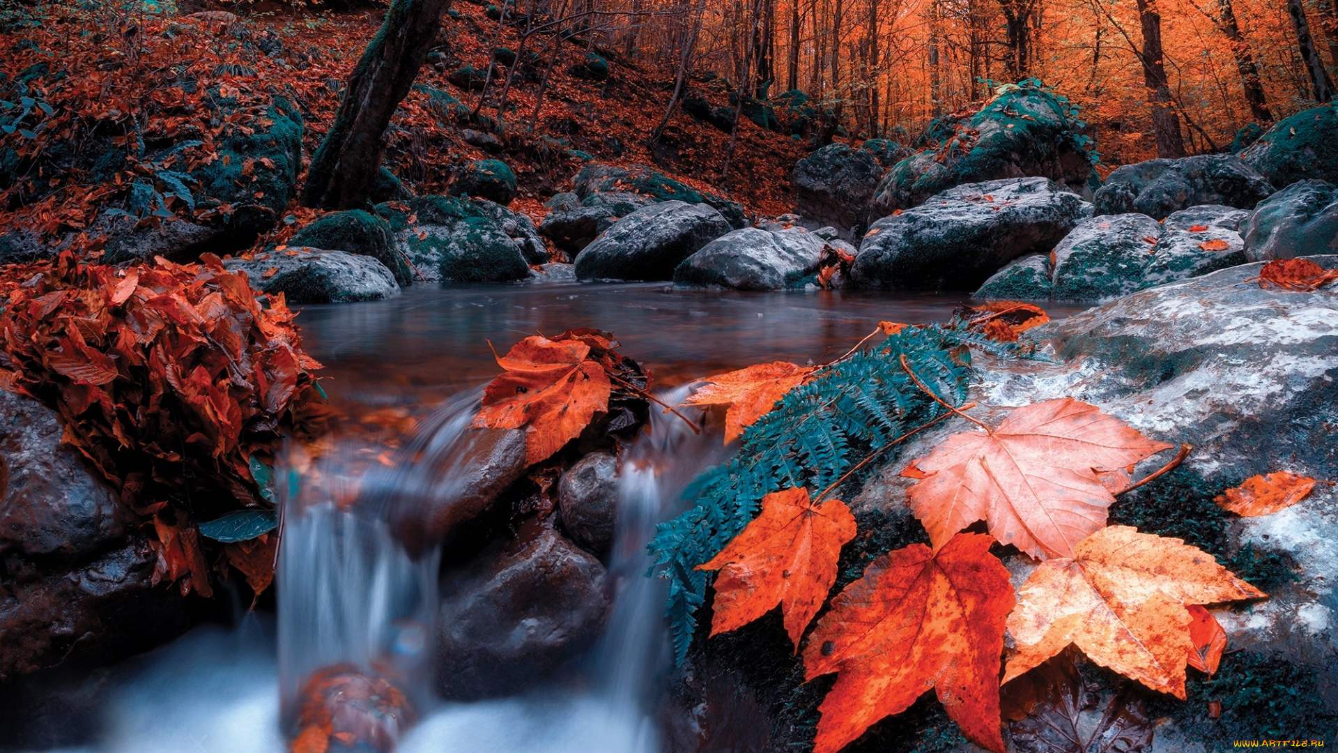 природа, реки, озера, осень, пейзаж, ручей, камни, течение, лес, деревья, листья