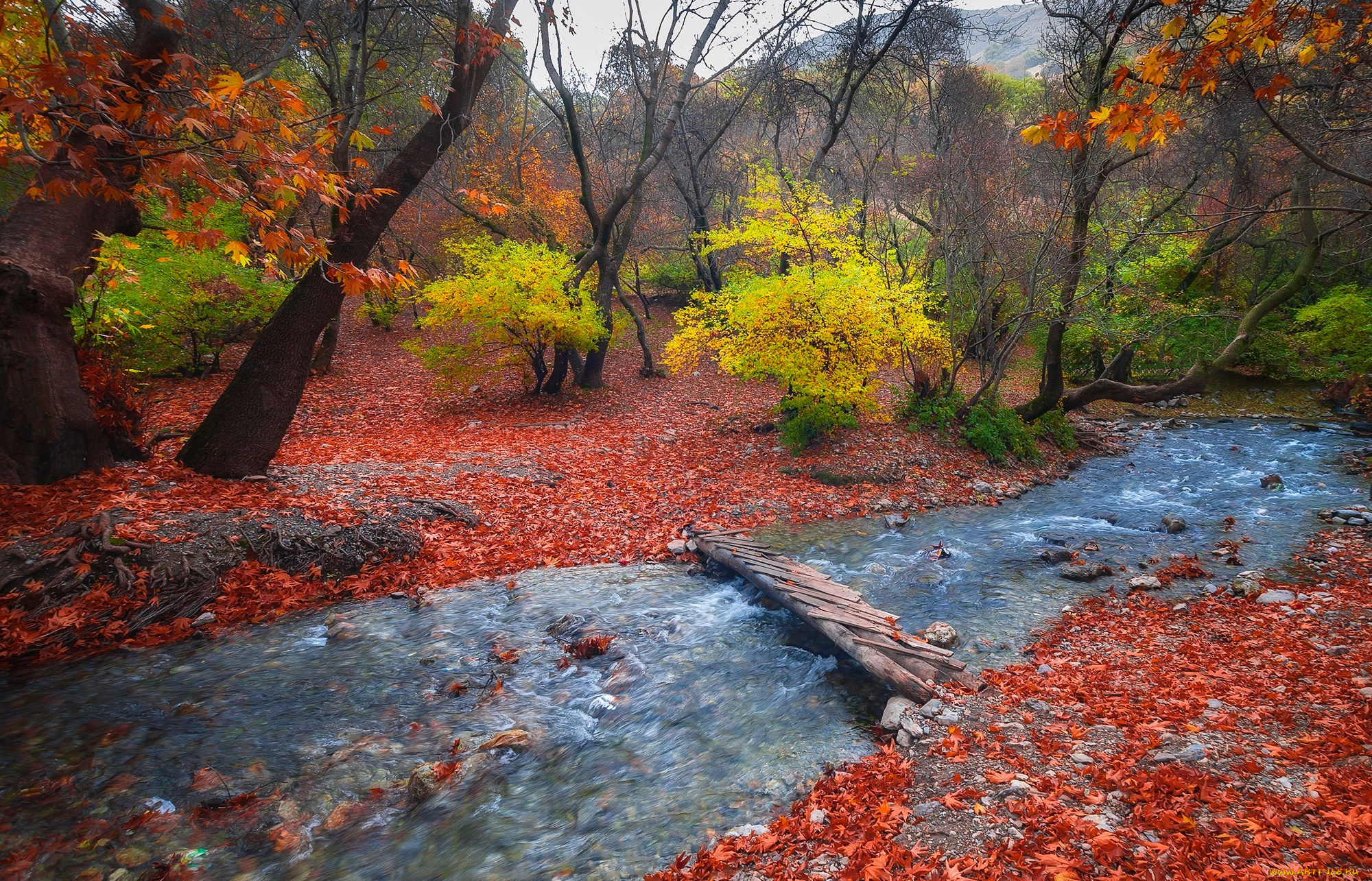 природа, реки, озера, ручей, пейзаж, осень, лес, камни, течение, листья, деревья