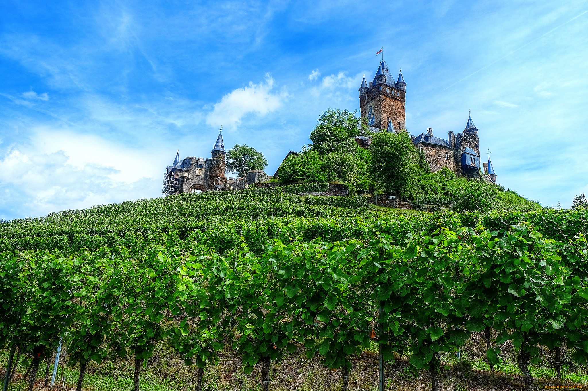 castle, in, the, vineyards, -, cochem, , mosel, valley, города, замки, германии, замок, виноградник