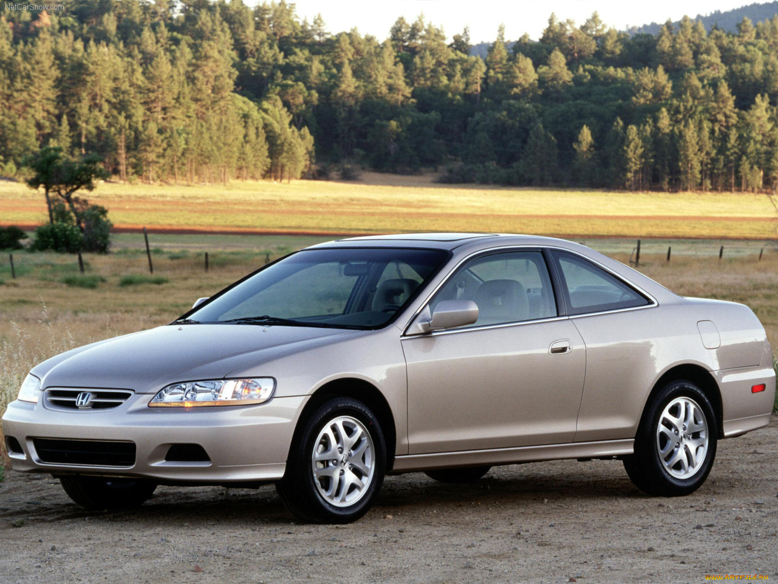 honda, accord, coupe, 2001, автомобили