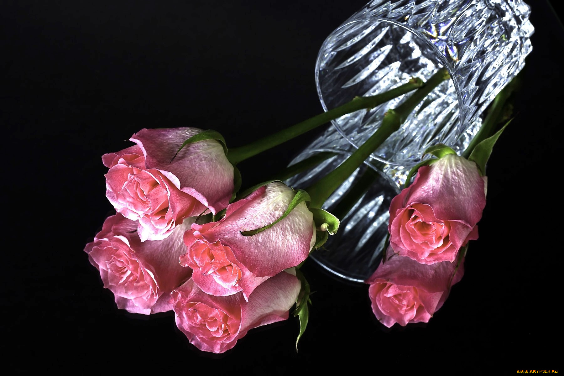 цветы, розы, стакан, розовый, отражение