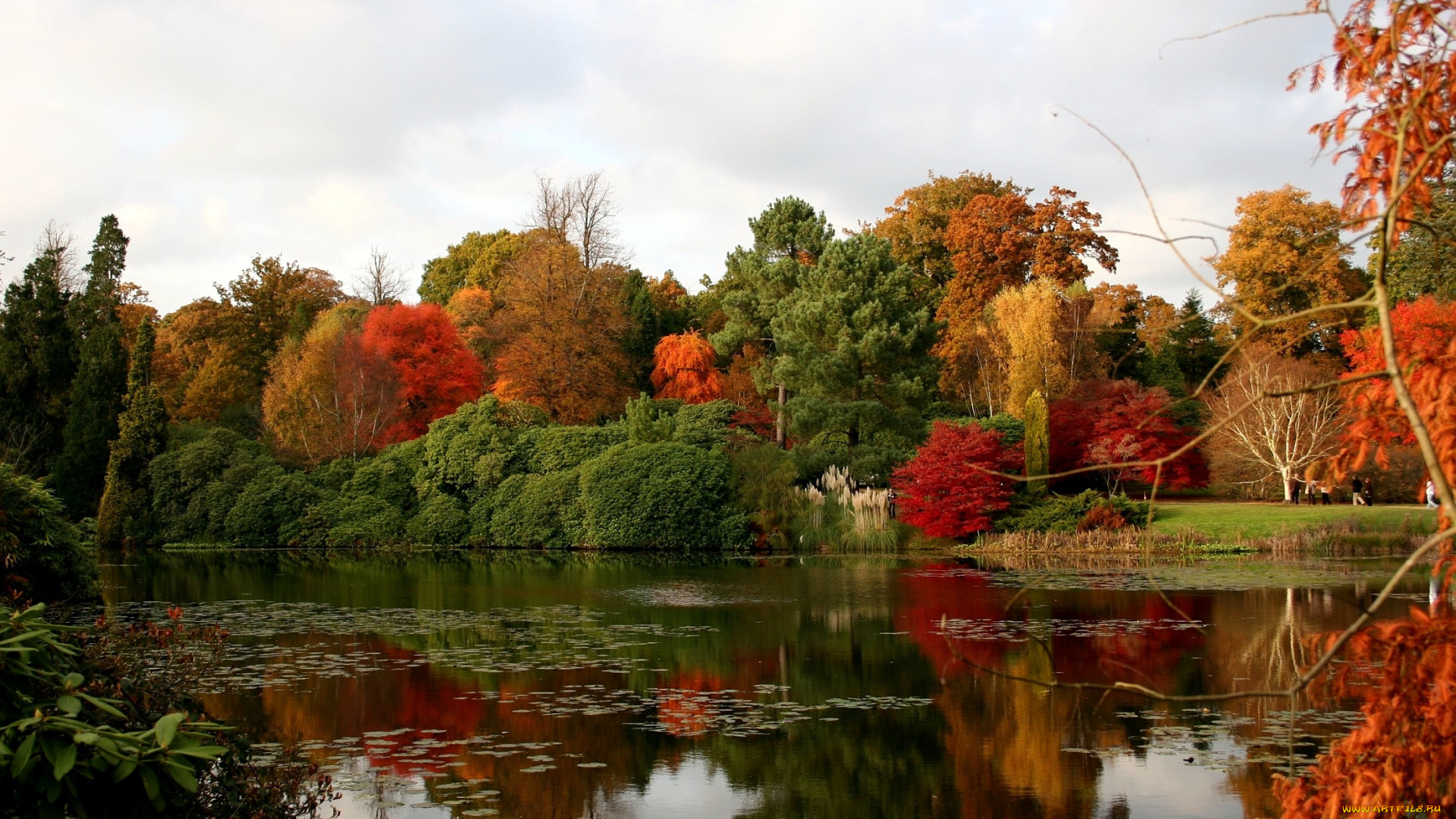 природа, реки, озера, осень, отражение, деревья, вода