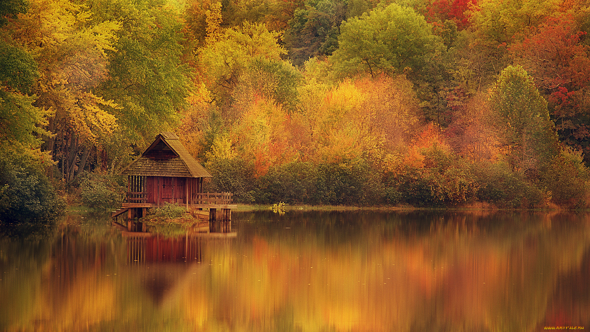природа, реки, озера, озеро, осень, деревья