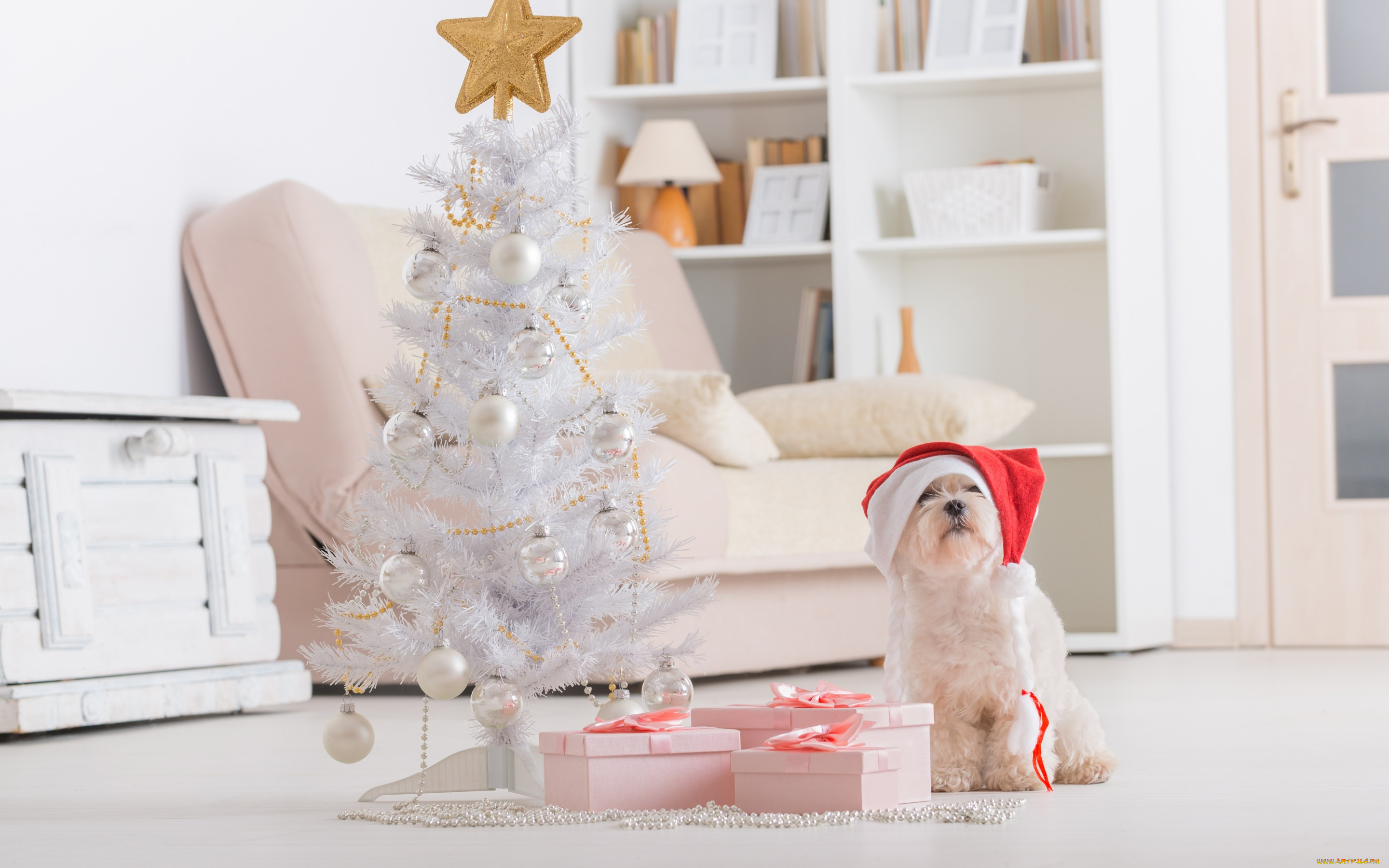 животные, собаки, christmas, new, year, праздник, новый, год, рождество, собака
