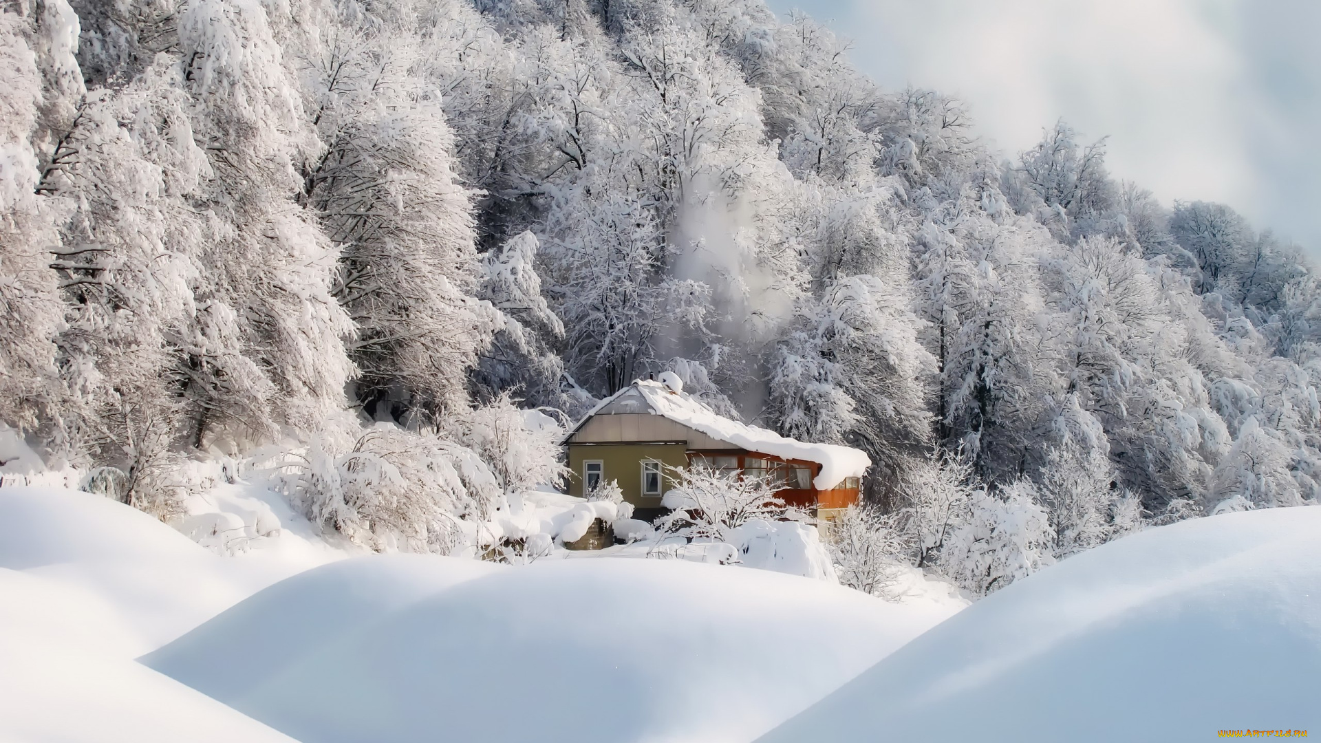 природа, зима, домик, деревья, снег