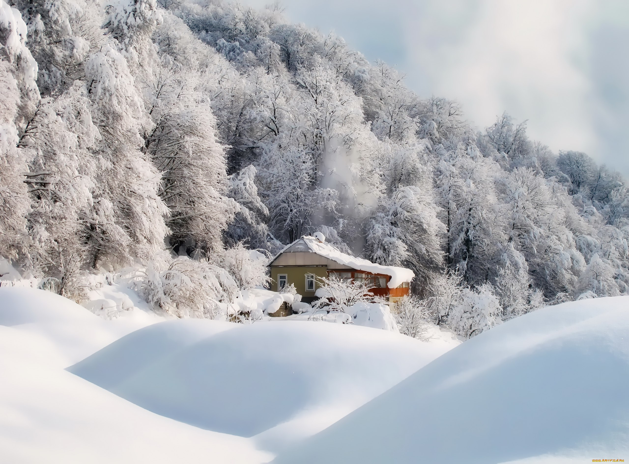 природа, зима, домик, деревья, снег
