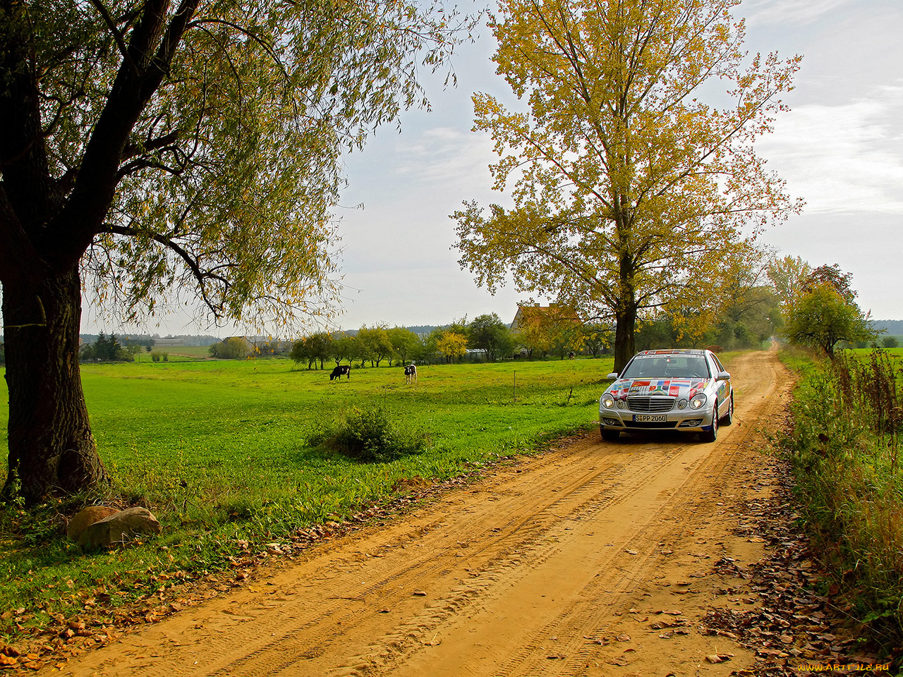 2006, mercedes, benz, class, автомобили