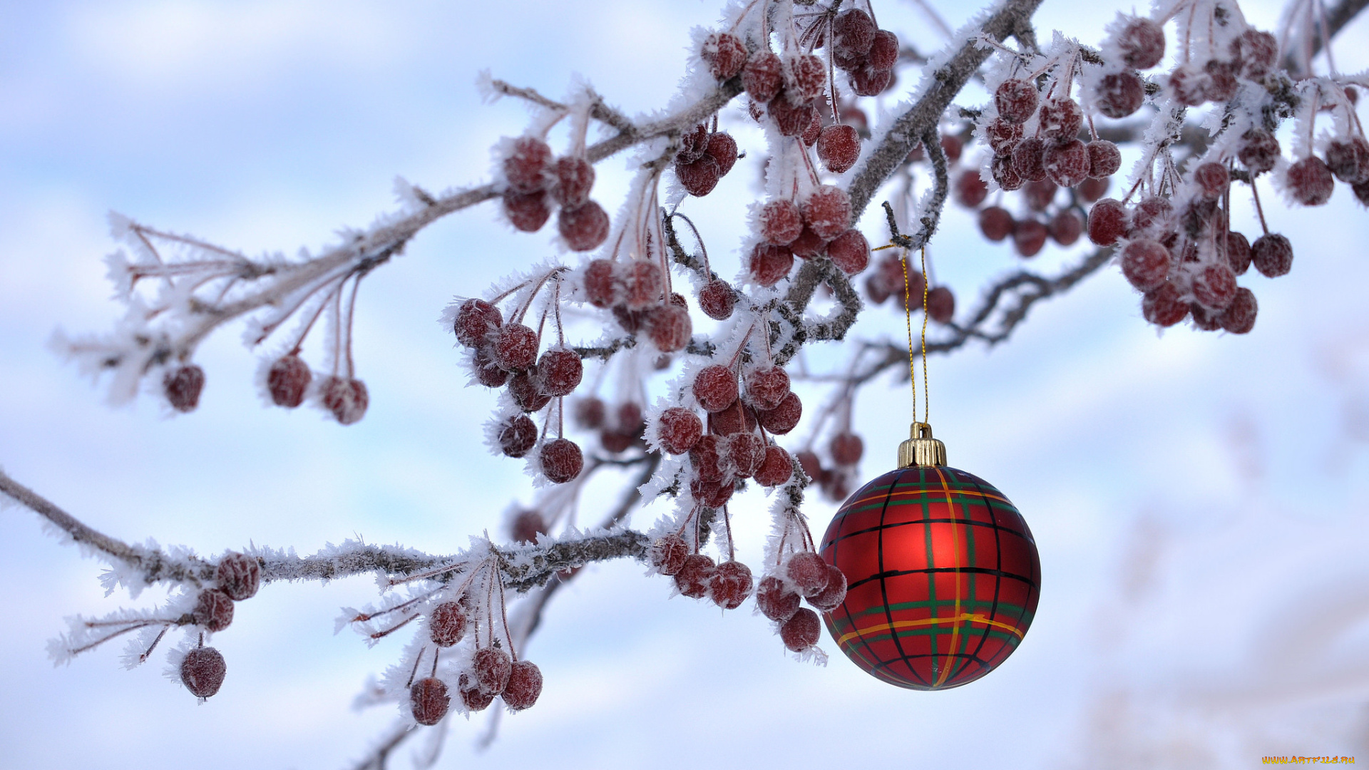 праздничные, шары, новый, год, рождество, иней, ягоды, ветка, украшение, игрушка, шарик, зима