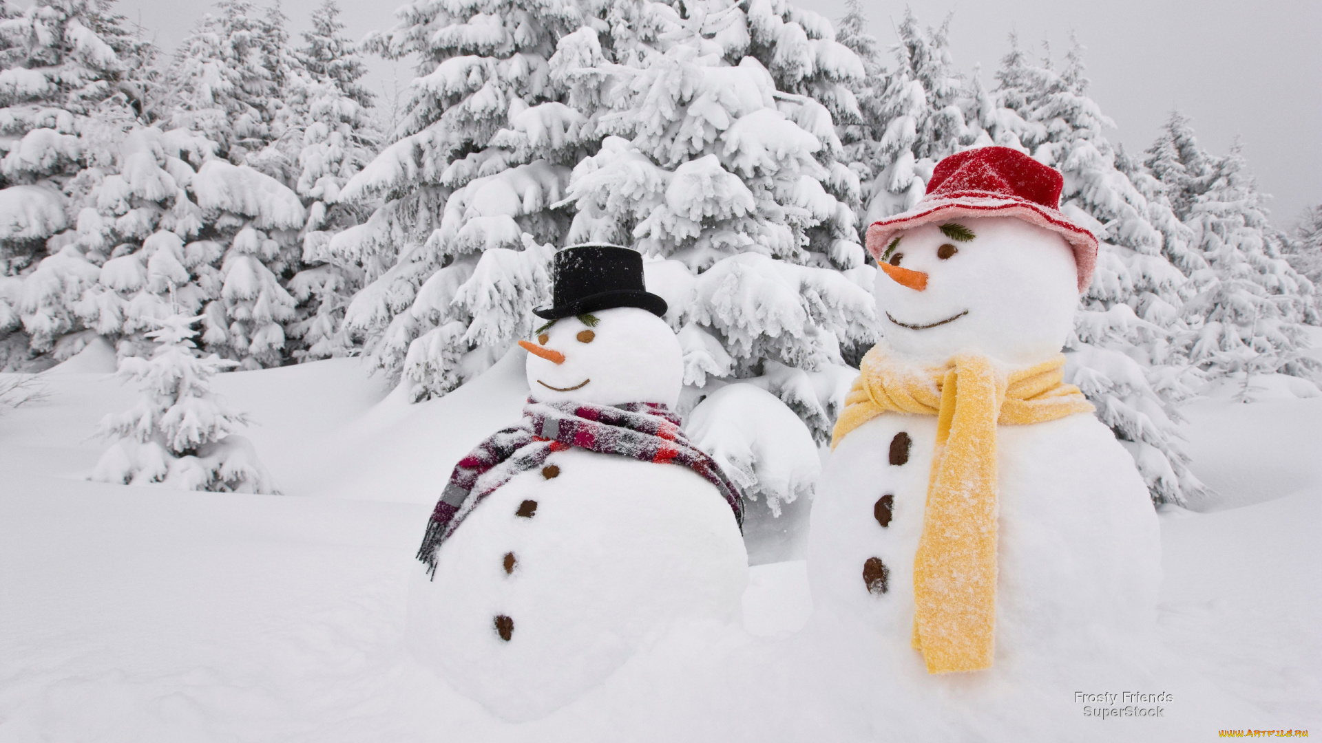 праздничные, снеговики, шарфы, шляпы, деревья, снег