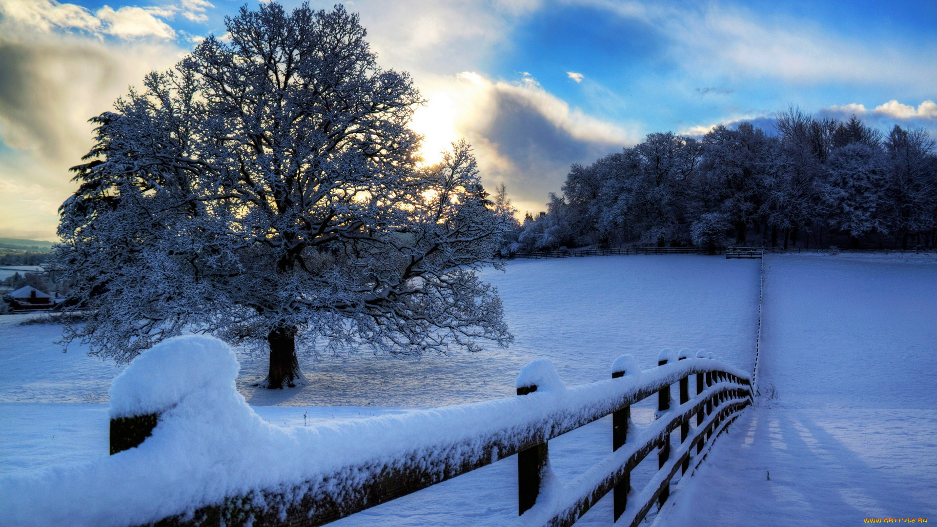 природа, зима, дорога, деревья, снег, забор