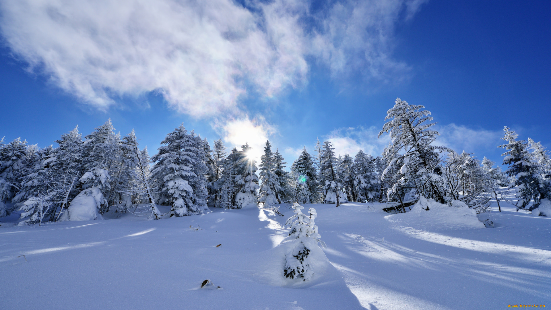 природа, зима, ель, деревья, снег, склон, облака, небо