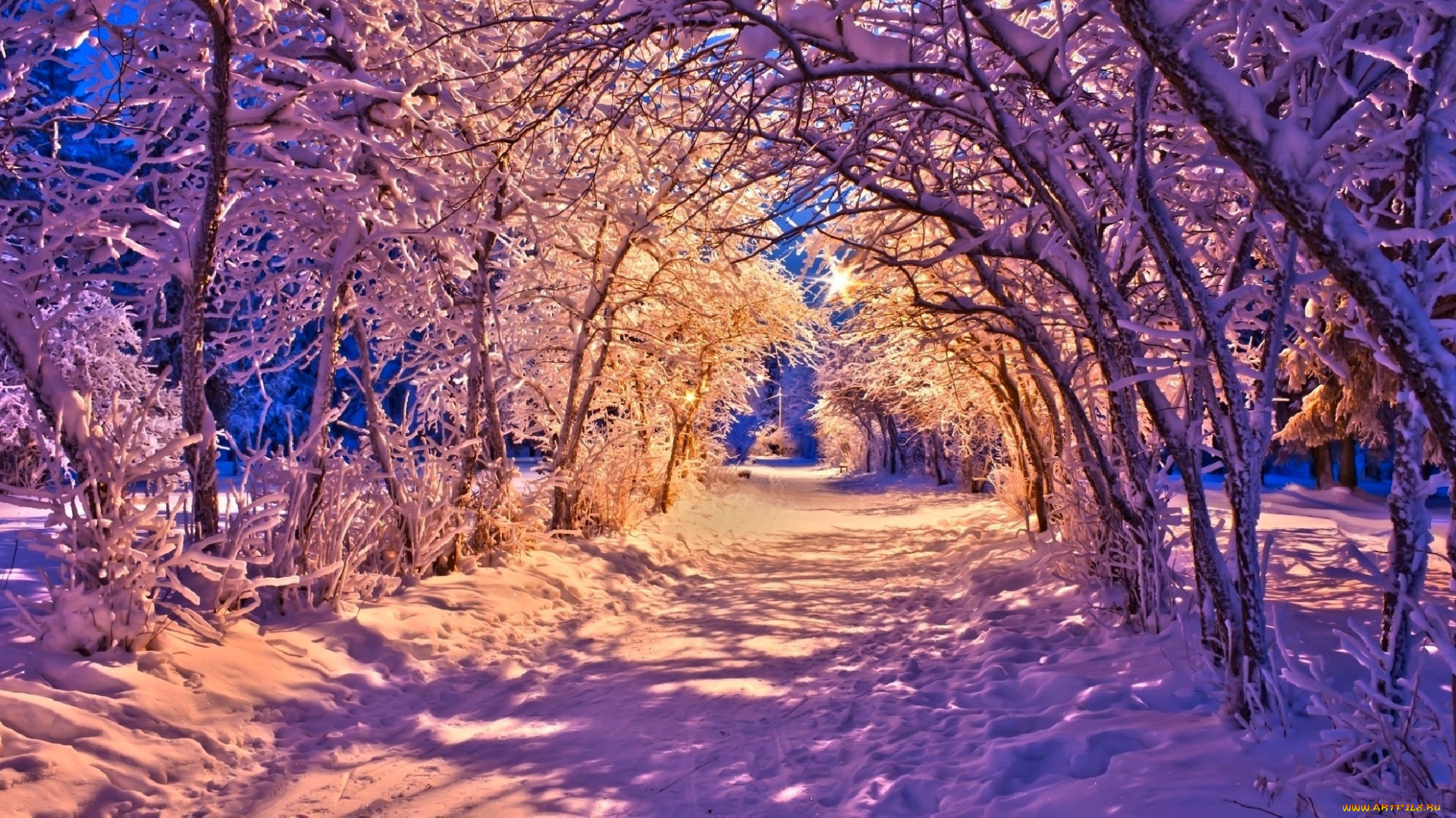 природа, зима, огни, фонари, скамья, парк, лес, деревья, дорога, beautiful, white, winter, nature, снег, road, forest, пейзаж, lights, lanterns, park, bench, trees, path, sunset, snow, nice, cool