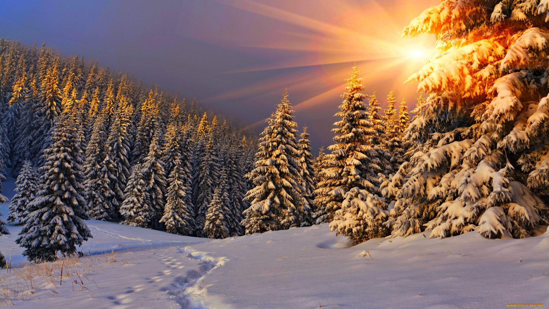 природа, зима, снег, небо, пейзаж, nature, winter, sky, white, beautiful, forest, path, road, cool, nice, snow, sunset