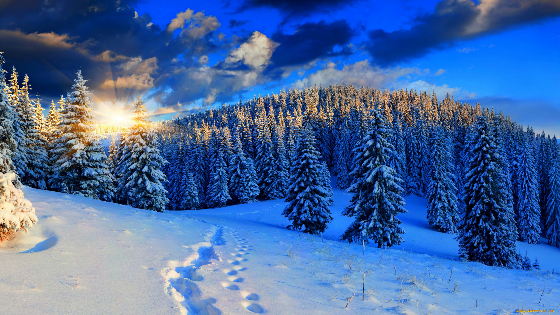 природа, зима, закат, лес, снег, пейзаж
