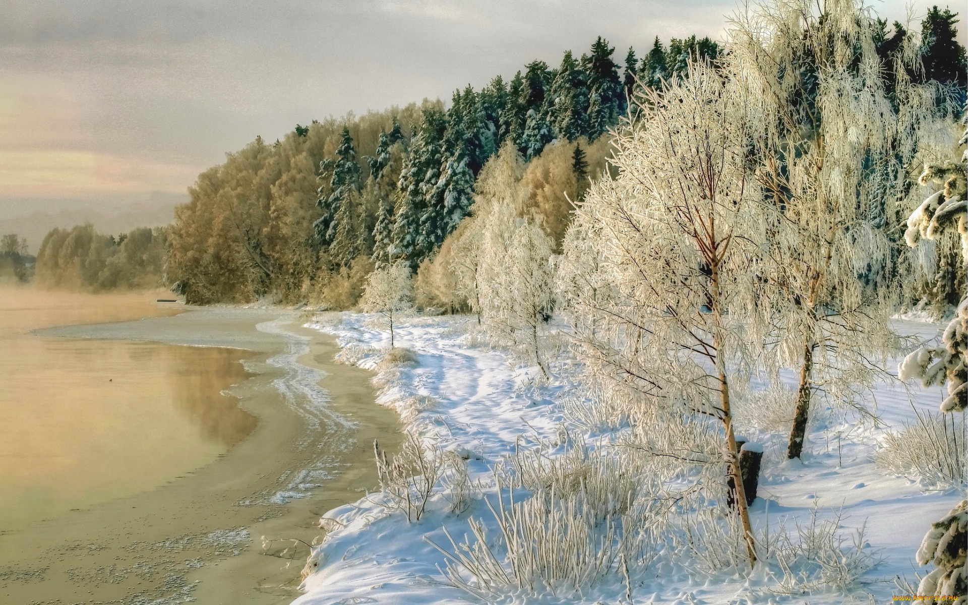 природа, зима, фото, деревья, побережье, снег, река