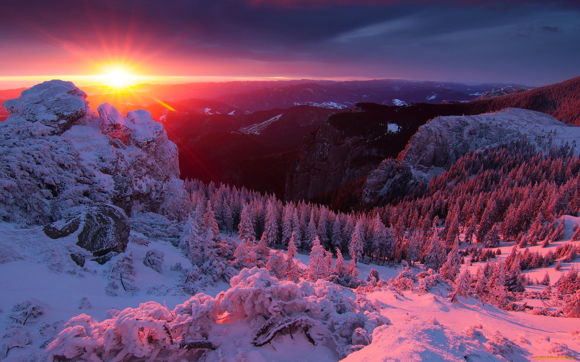 природа, зима, горы, лес, солнце, снег