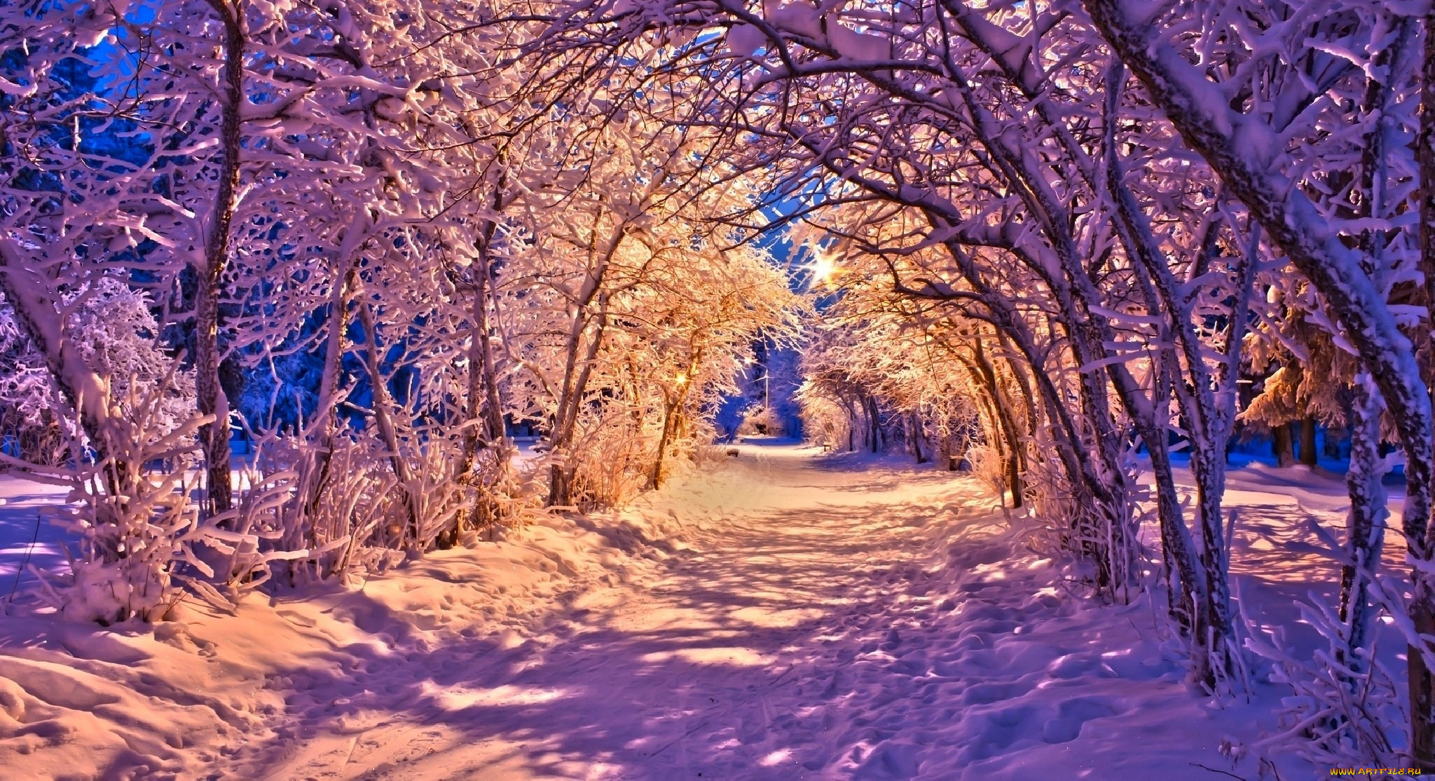 природа, зима, огни, фонари, скамья, парк, лес, деревья, дорога, beautiful, white, winter, nature, снег, road, forest, пейзаж, lights, lanterns, park, bench, trees, path, sunset, snow, nice, cool