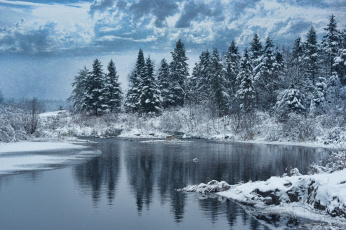 Картинка природа зима озеро деревья лес снег