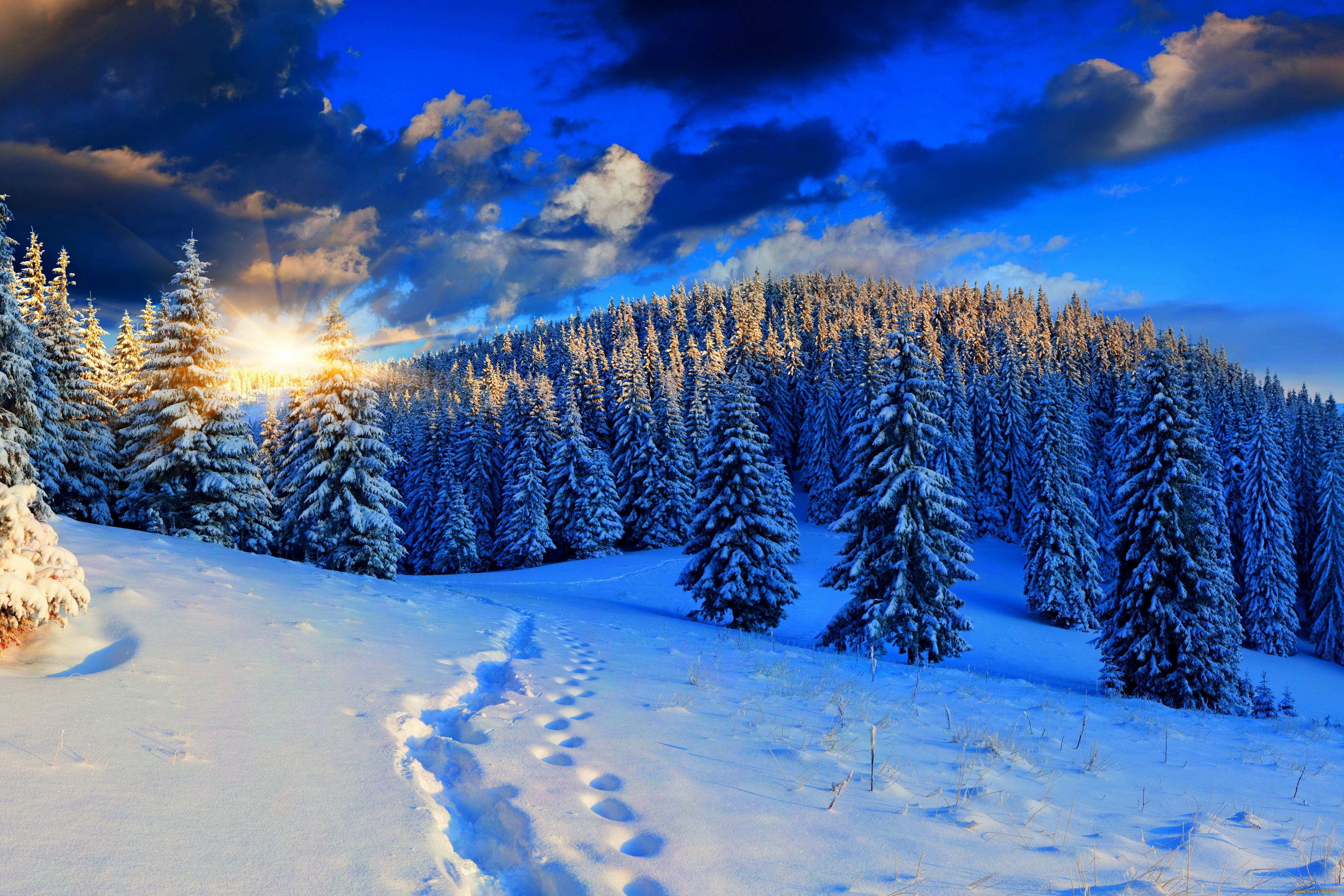 природа, зима, закат, лес, снег, пейзаж