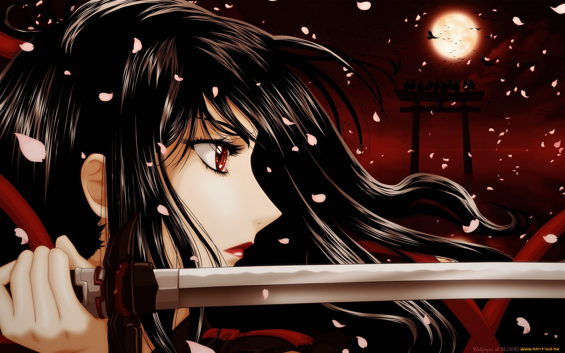 аниме, blood-c, девушка, меч