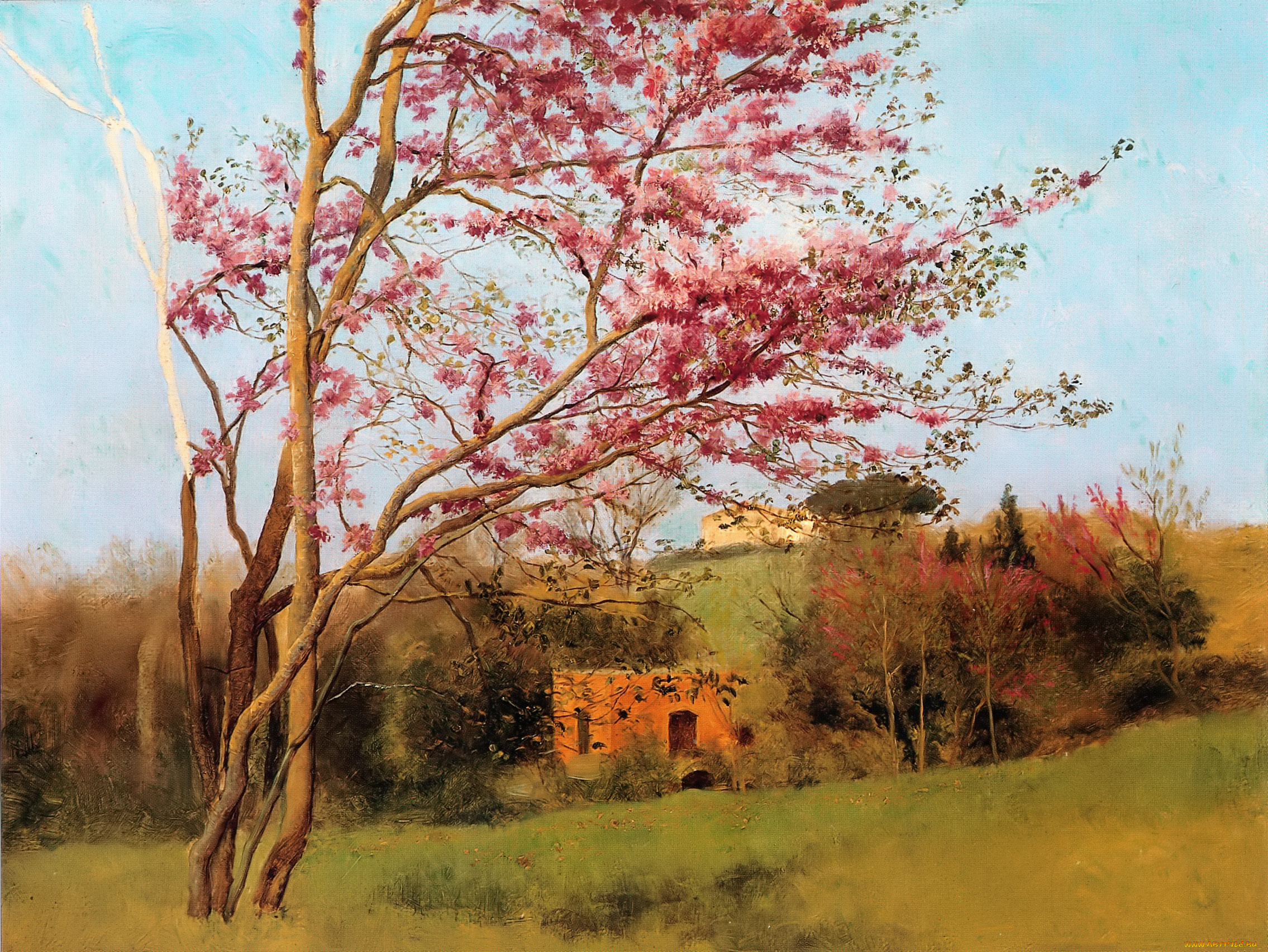 godward-landscape, blossoming, red, almond, , study, рисованное, john, william, godward, деревья, цветение, домик