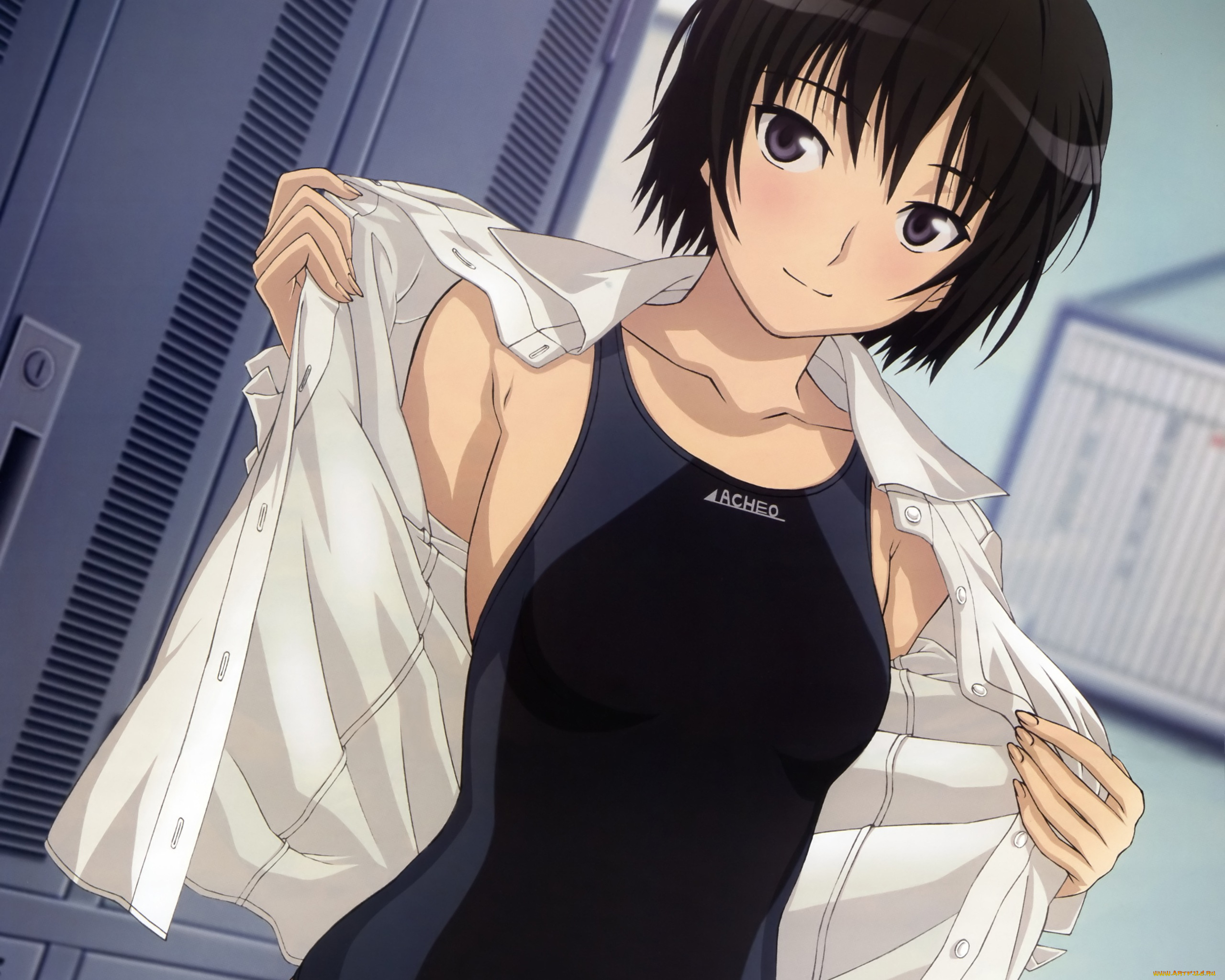 amagami, аниме