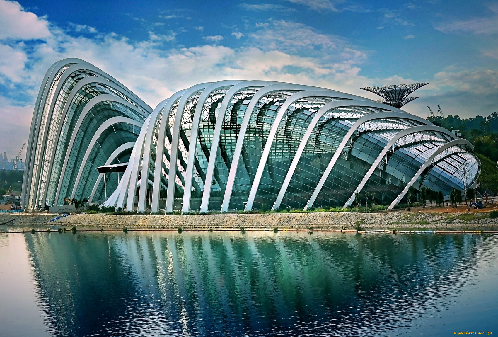 Special buildings. Сингапур оранжерея 'Flower Dome' архитектура. Бионическая архитектура Дубаи. Здания Бионика Сингапур. Гарденс Бэй Бэй Сингапур.