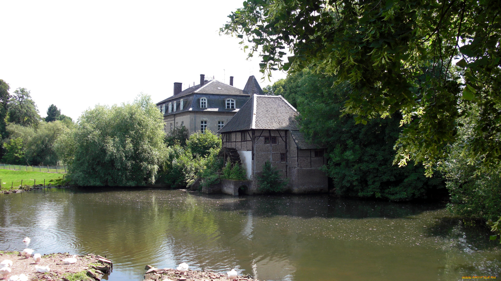 castle, schweppenburg, germany, города, дворцы, замки, крепости, пруд, замок, птицы