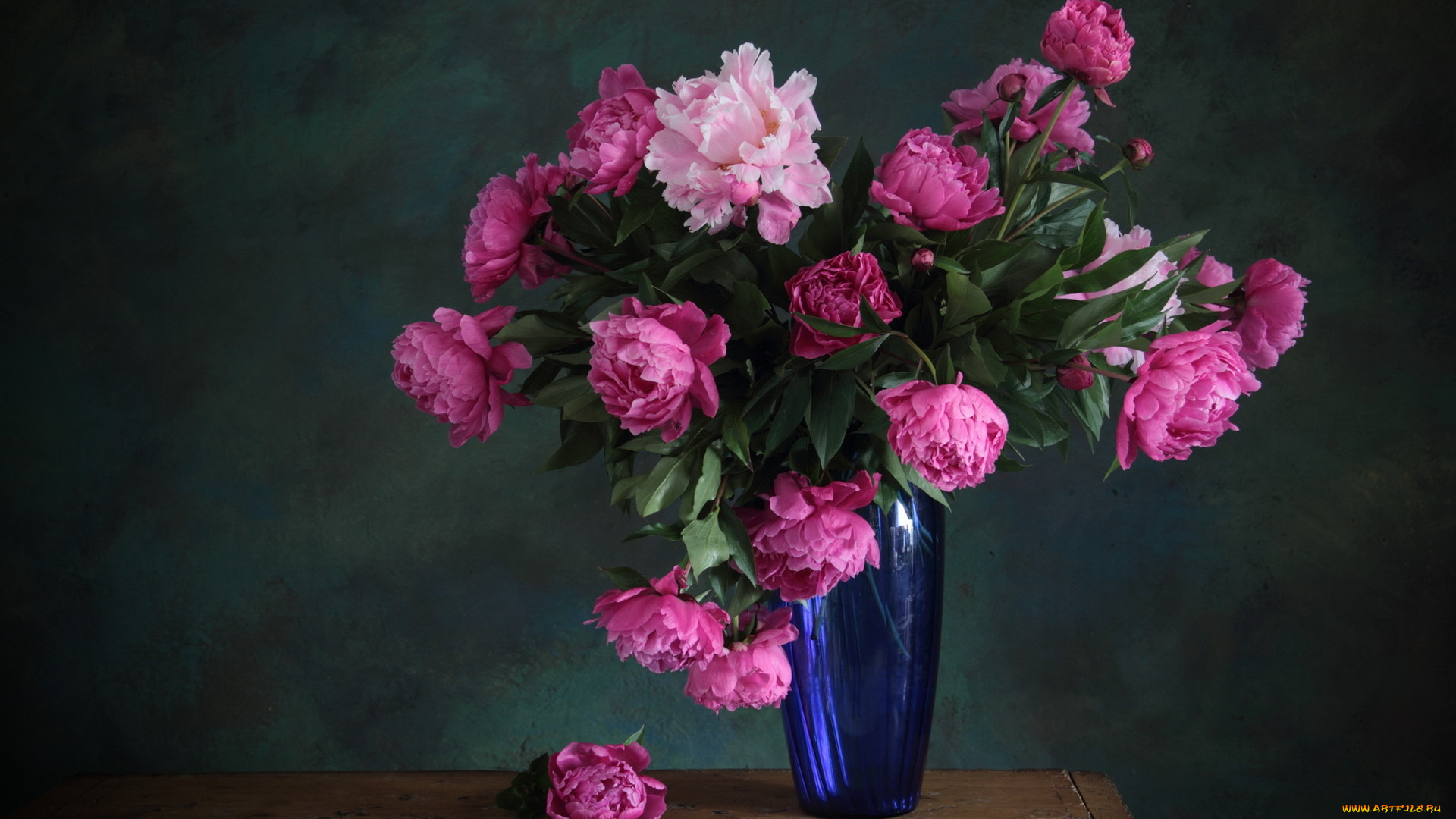 цветы, пионы, ваза, синий, розовый, весна
