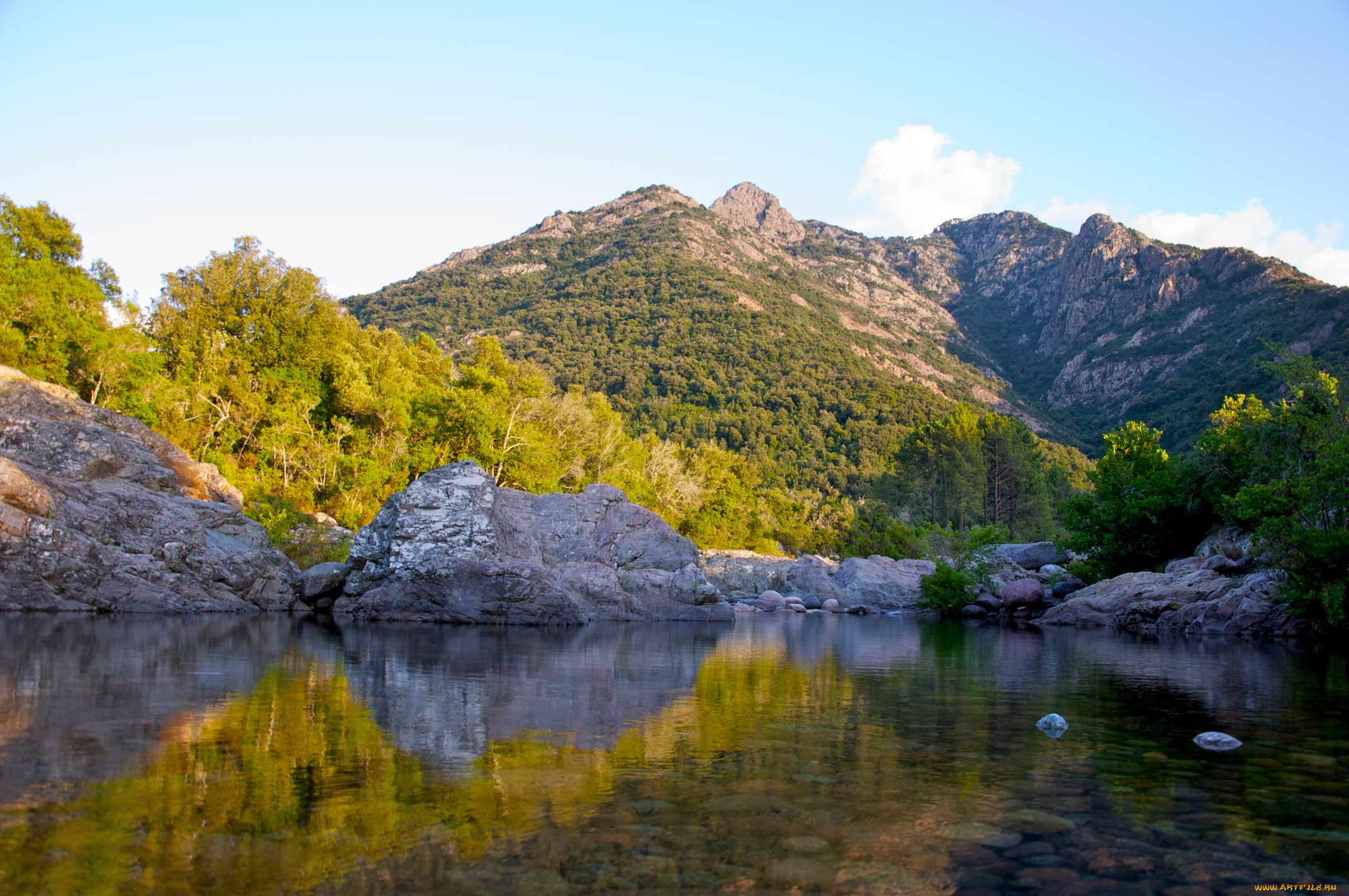 природа, реки, озера, вода, берег