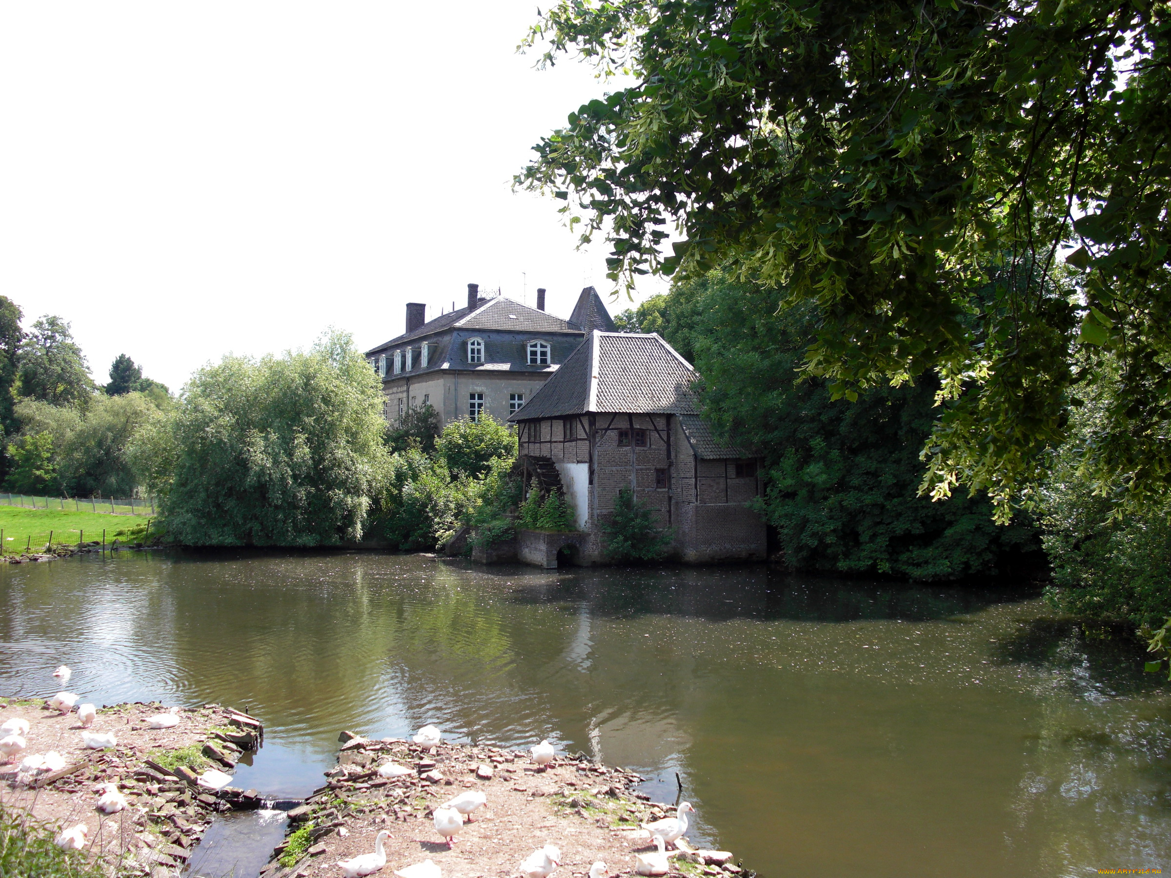 castle, schweppenburg, germany, города, дворцы, замки, крепости, пруд, замок, птицы