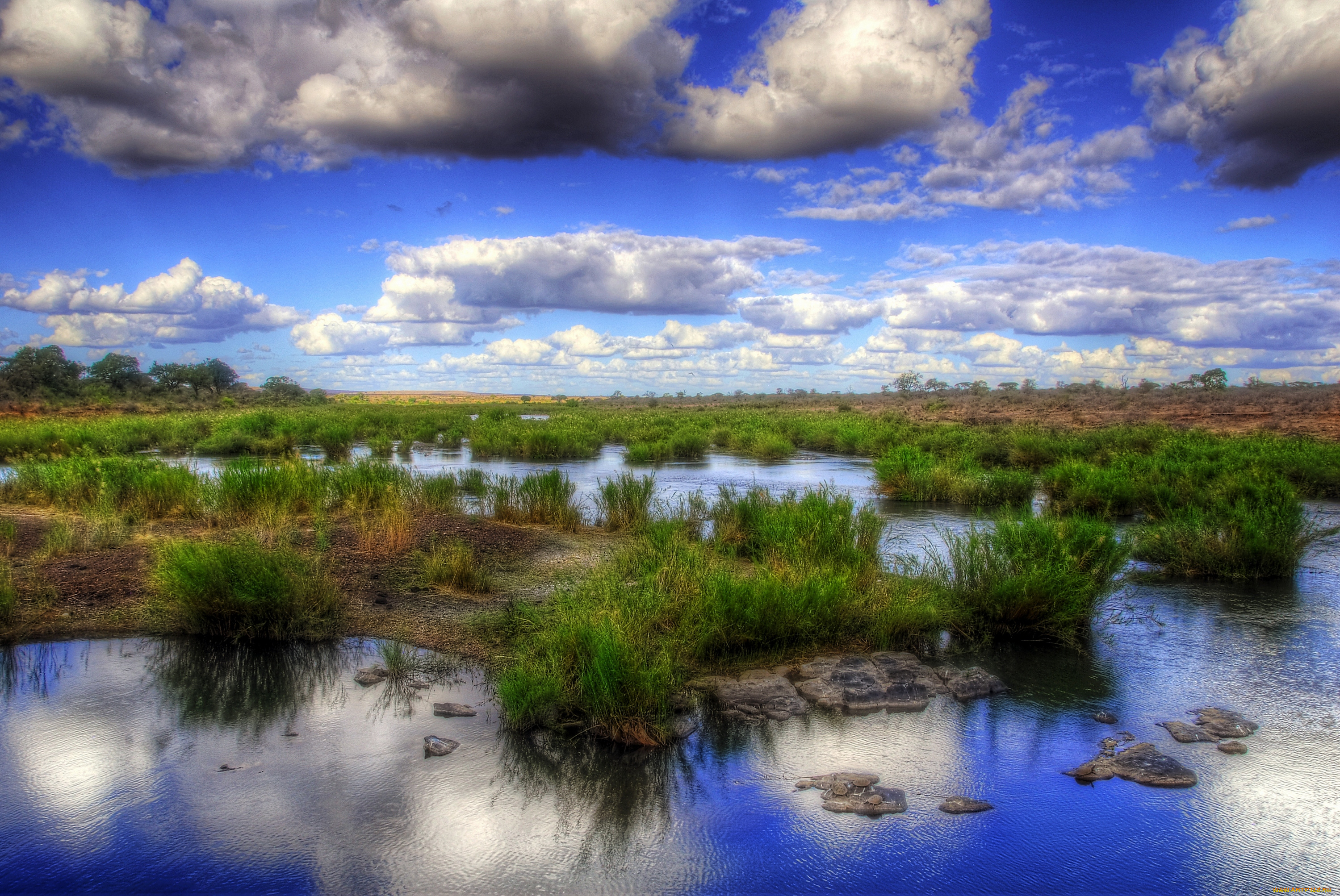 природа, реки, озера, трава, вода