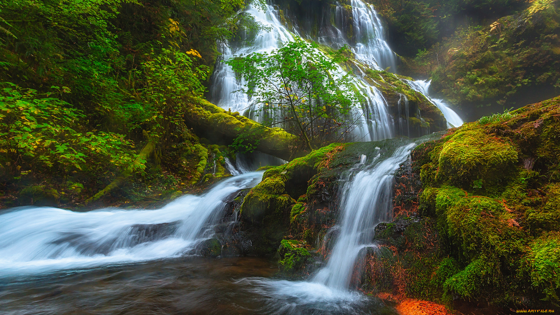 природа, водопады, водопад, река, лес