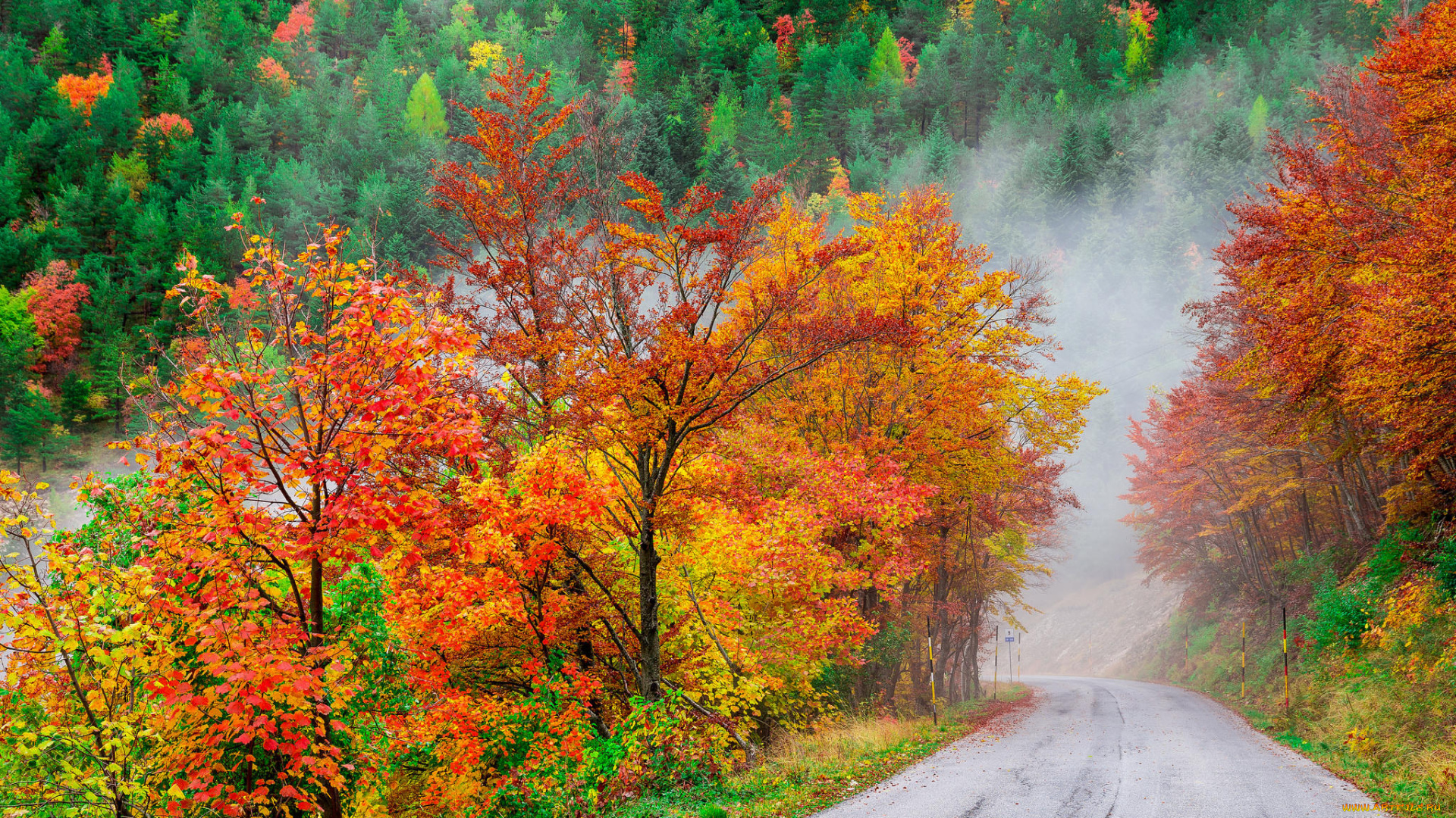 природа, дороги, пейзаж, деревья, осень, дорога, лес