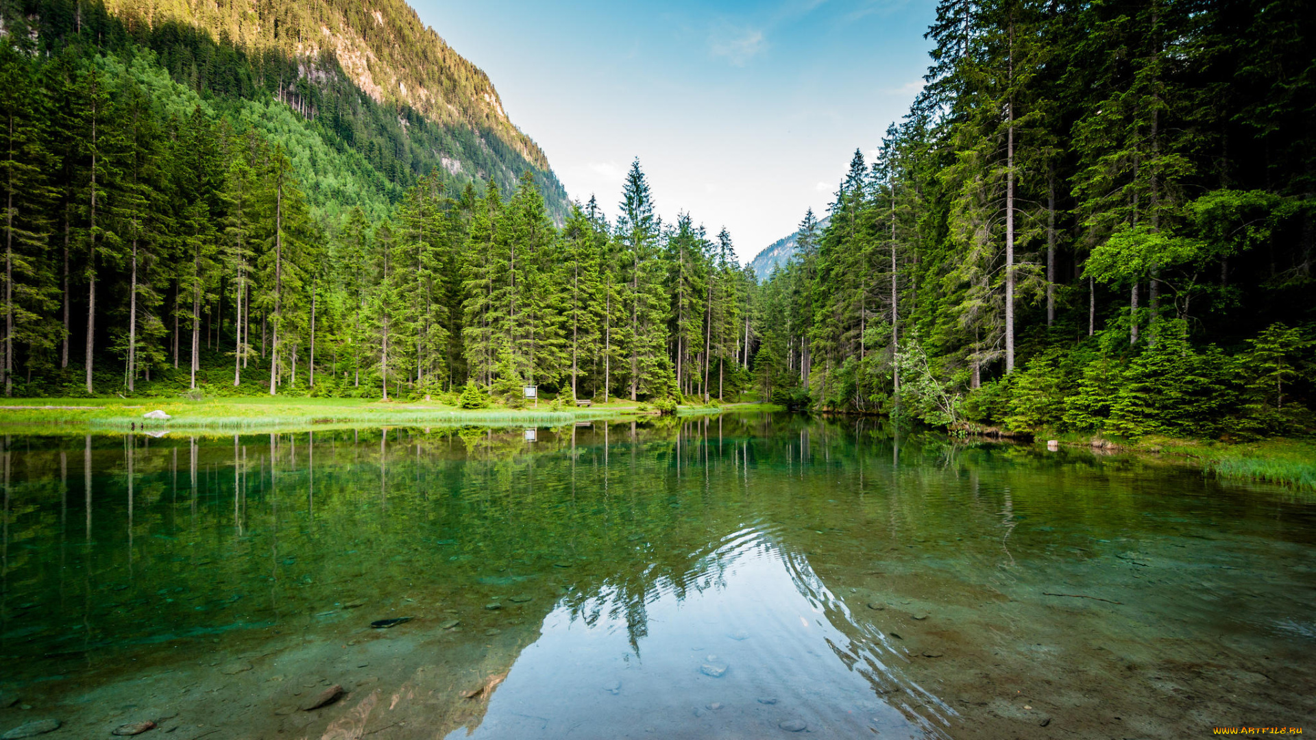 природа, реки, озера, озеро, austria, pinzgau, лес, blausee