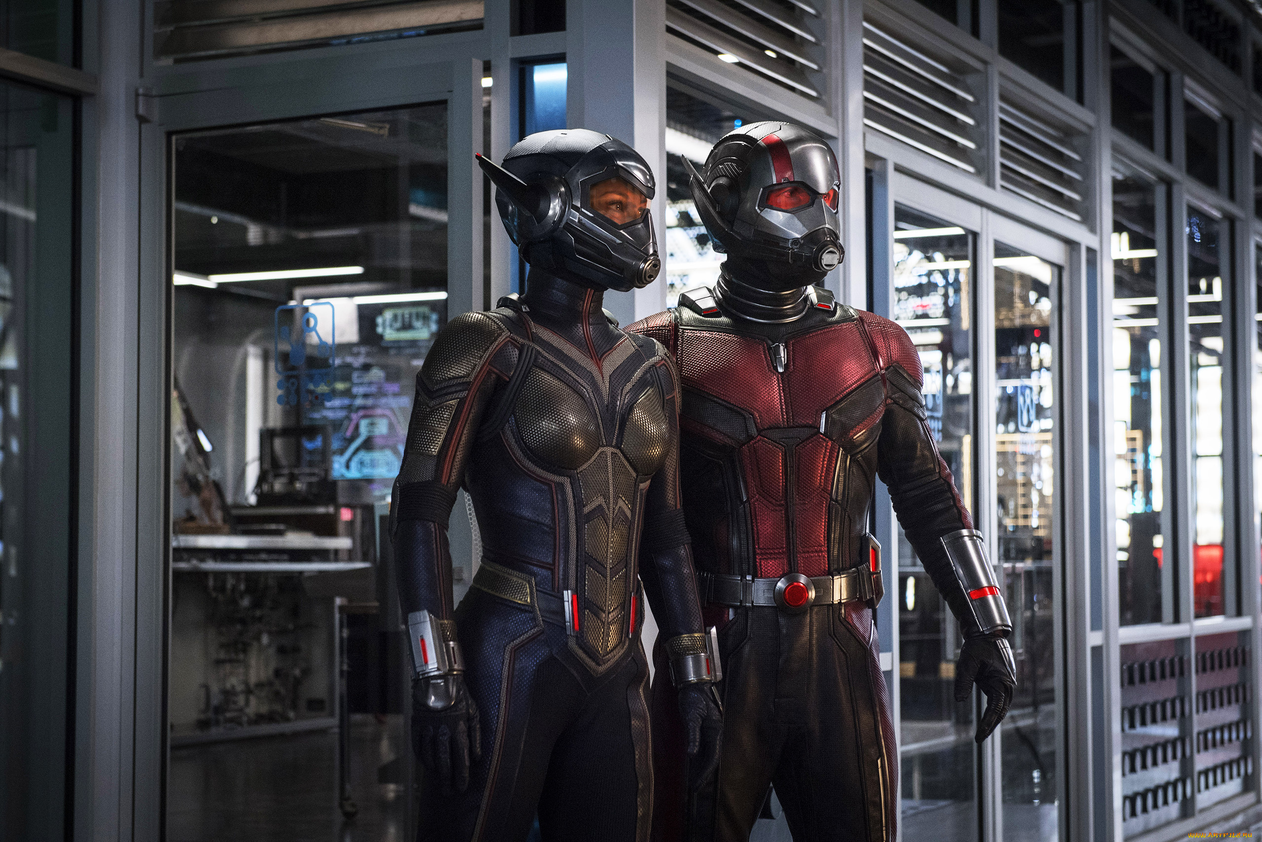 кино, фильмы, ant-man, and, the, wasp, ant-man, and, the, wasp
