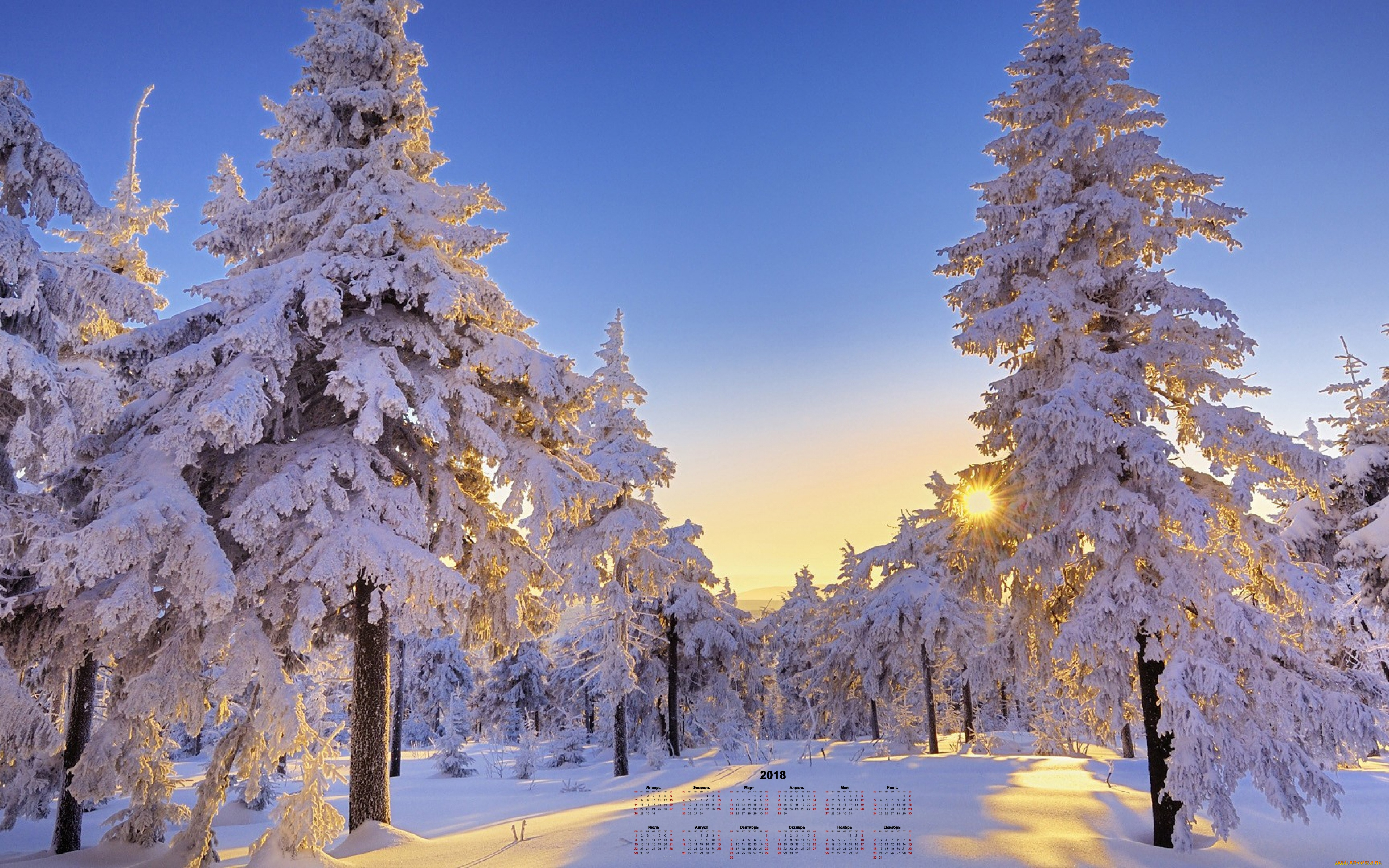 Звуки природы зимой. Зимний пейзаж. Зимние обои. Зимняя природа. Зимний лес.