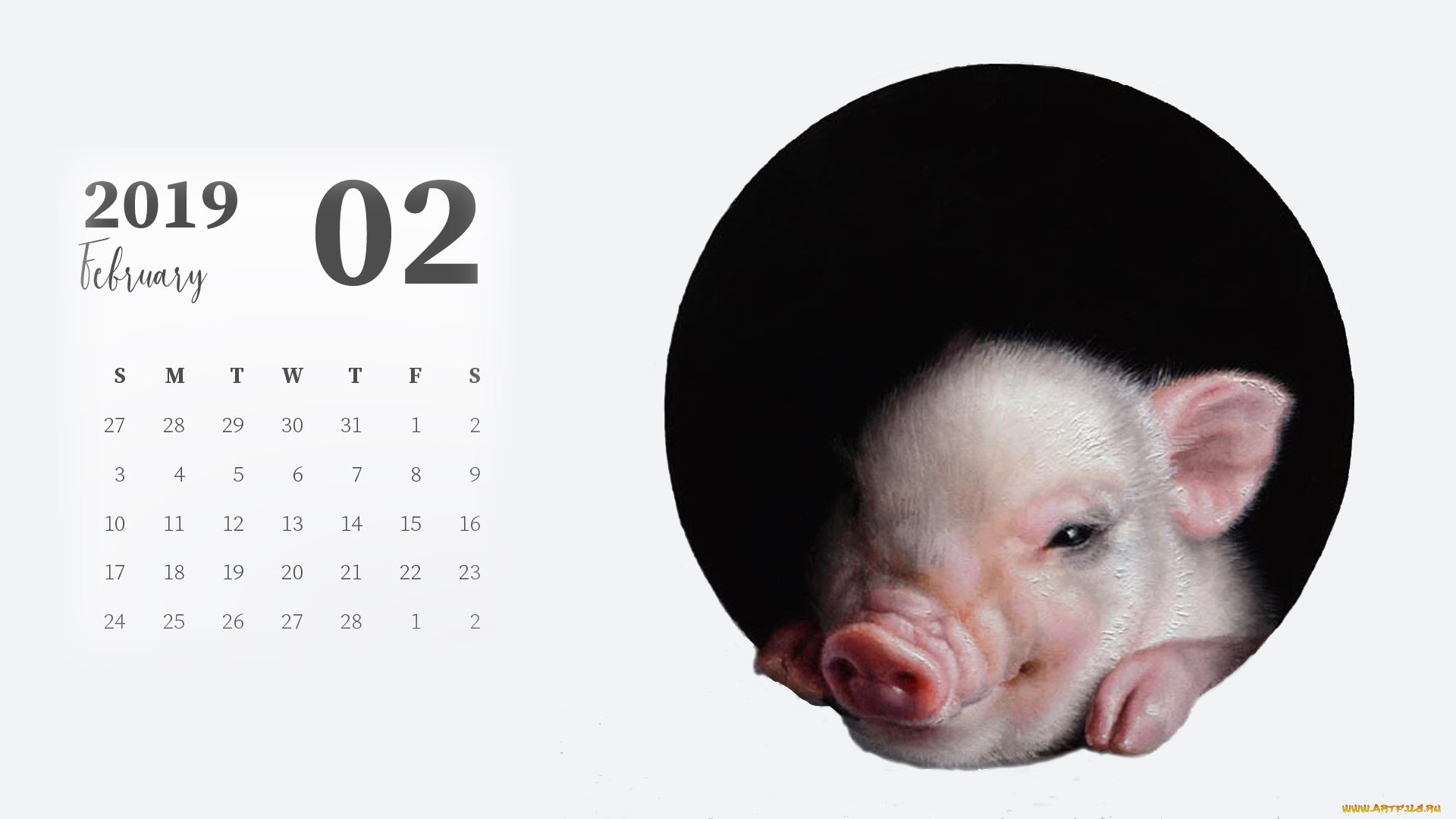 календари, рисованные, , векторная, графика, поросенок, свинья