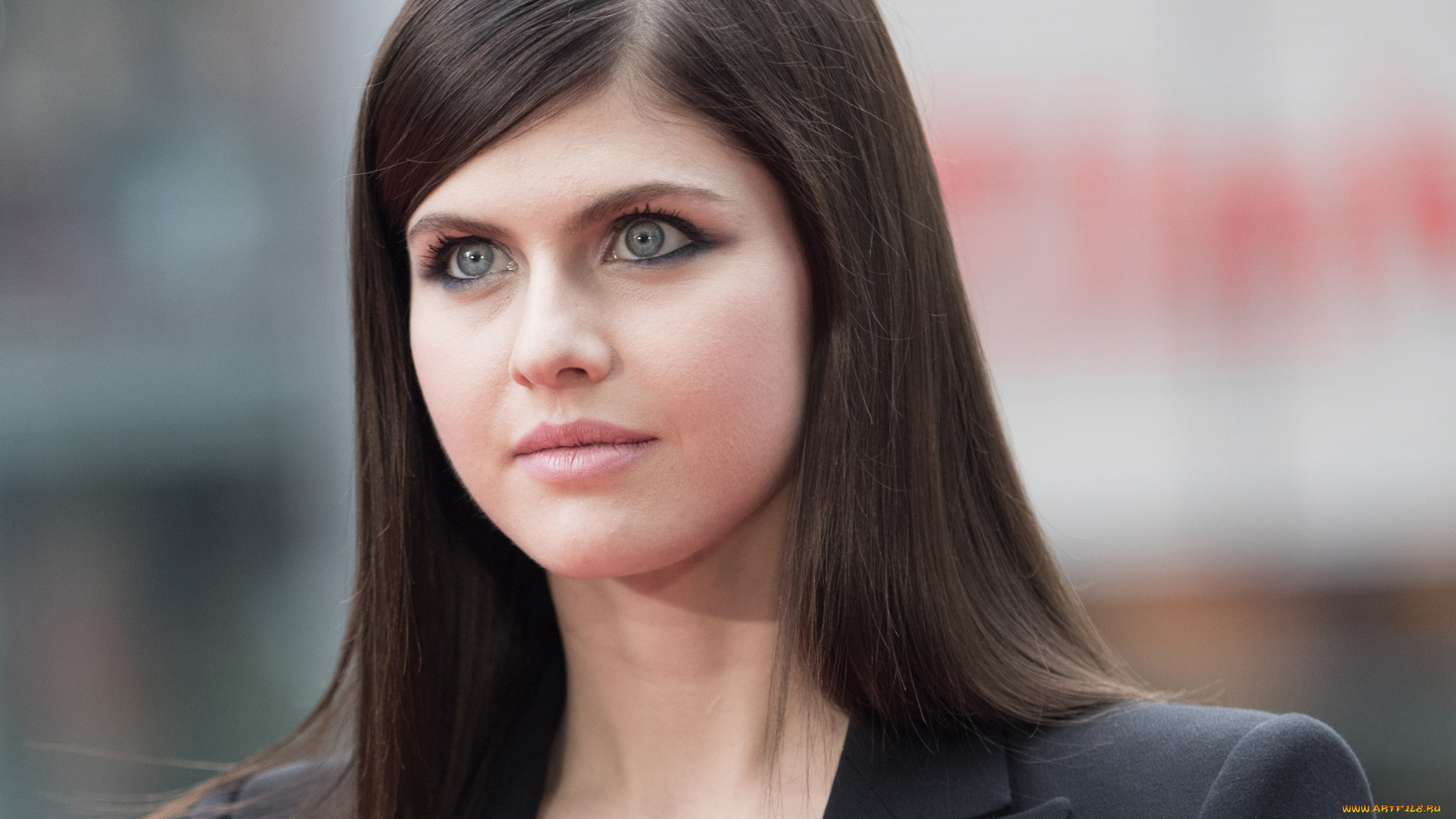 девушки, alexandra, daddario, лицо, шатенка, актриса