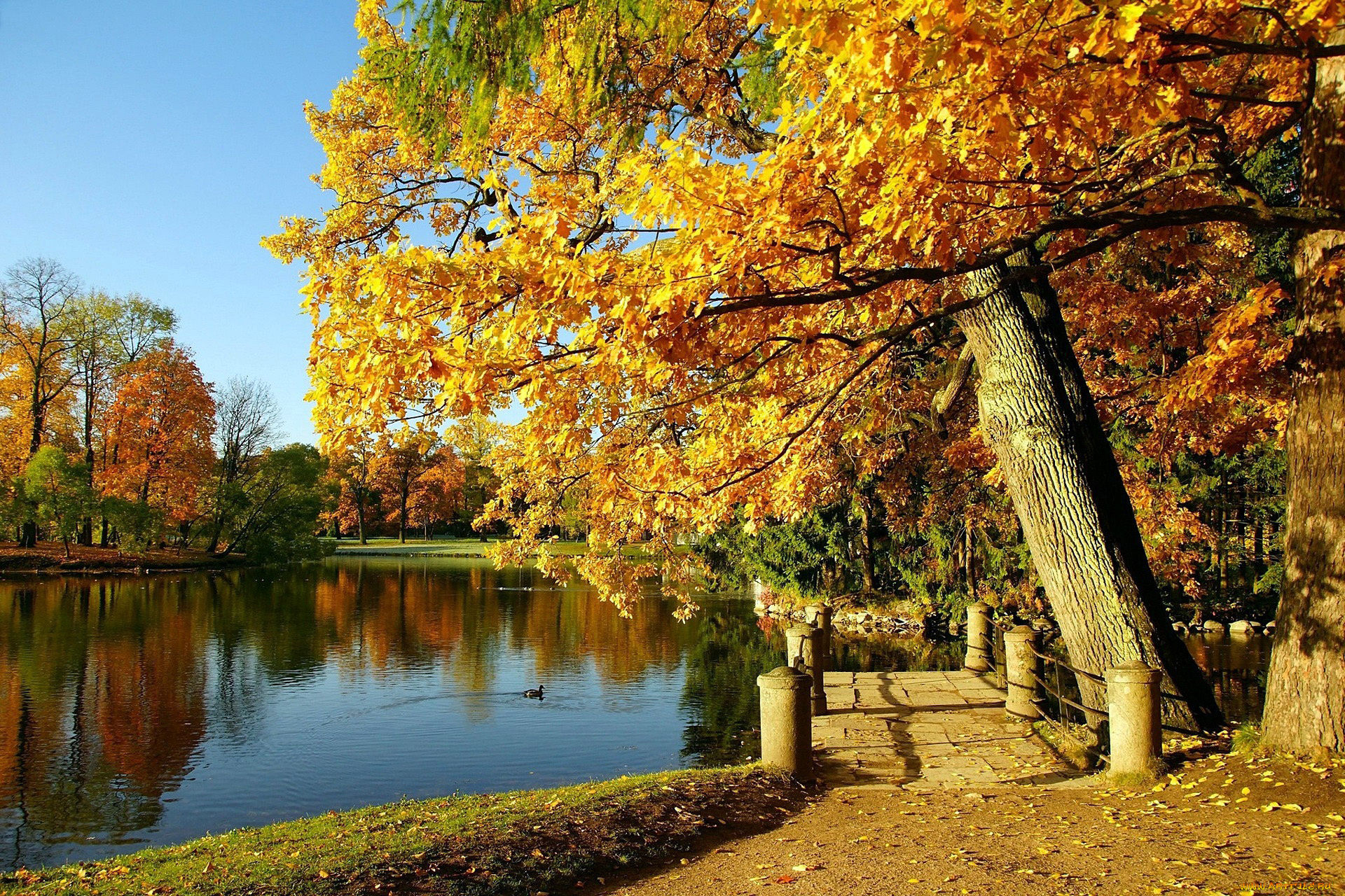 природа, парк, пруд, мостик, деревья, осень