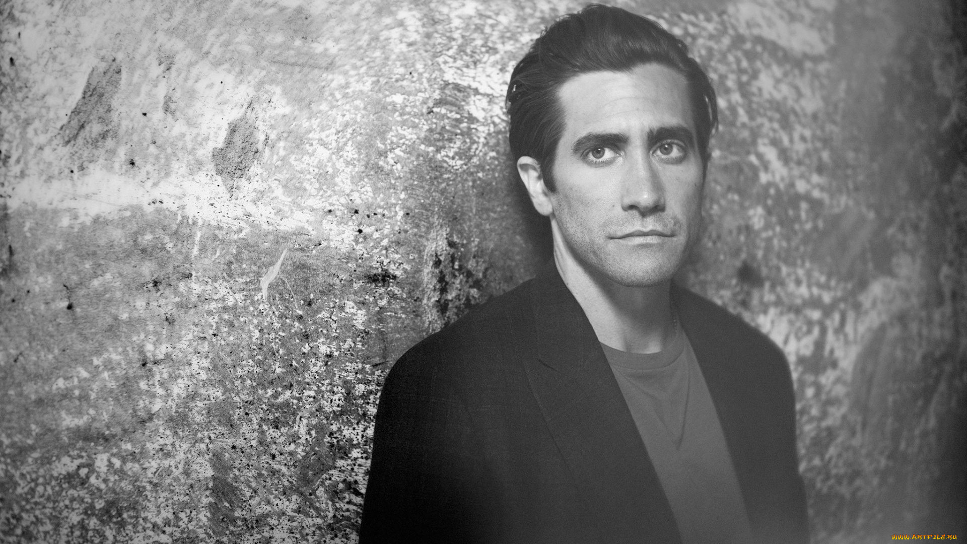 мужчины, jake, gyllenhaal, jake, gyllenhaal