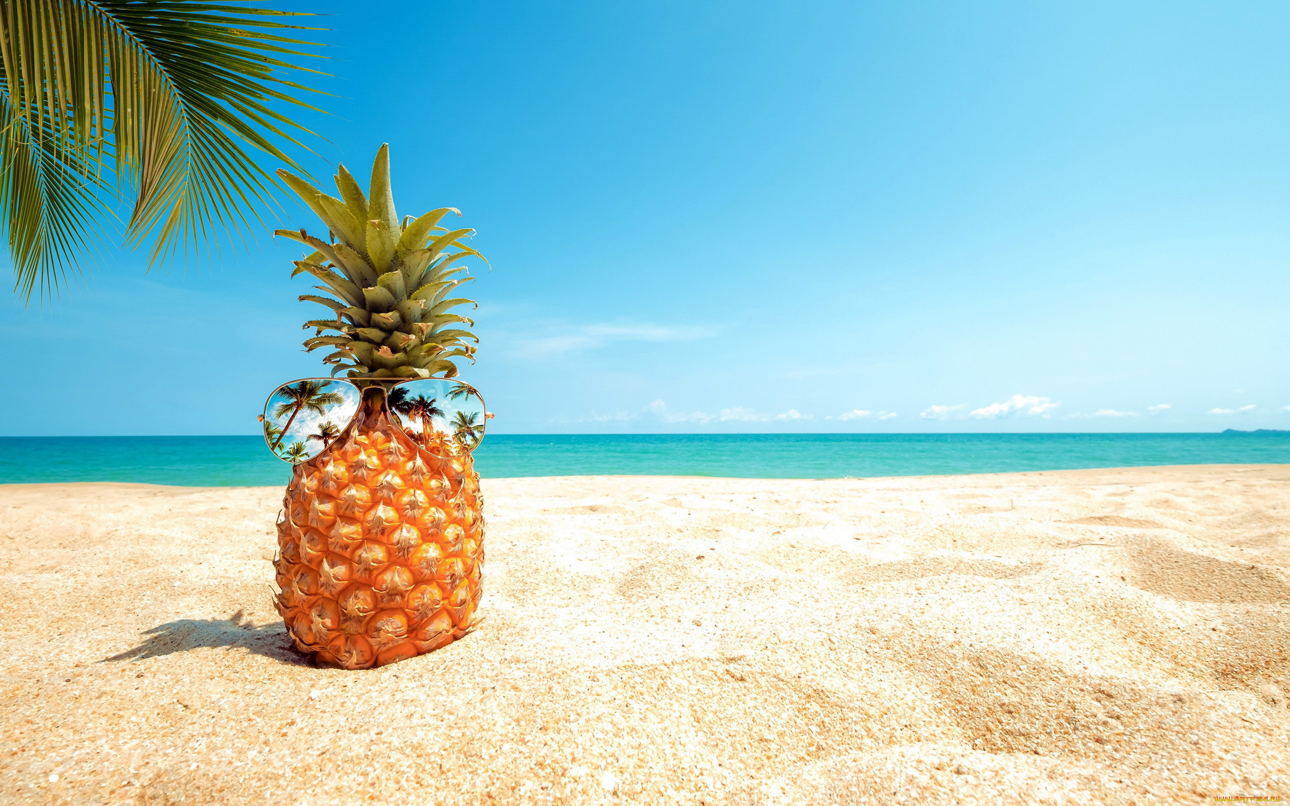 еда, ананас, пальма, пляж, песок, очки, отражение