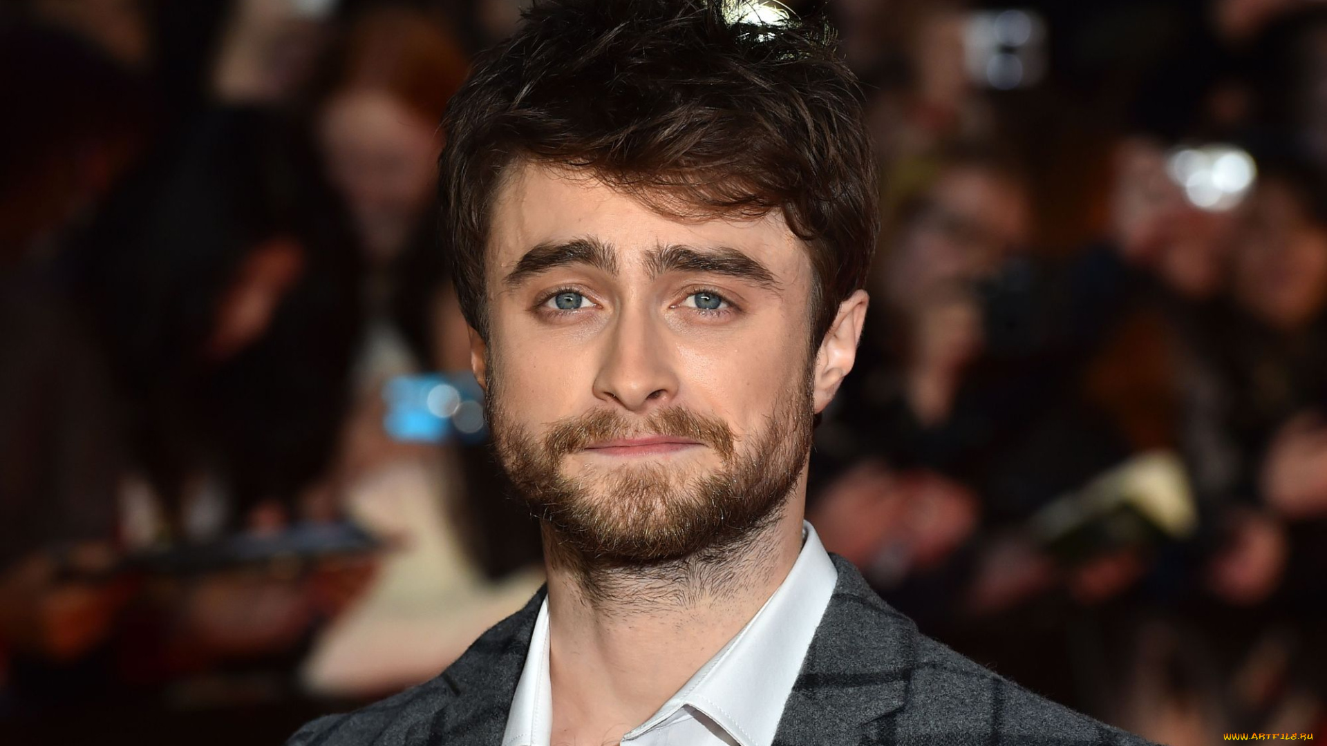 мужчины, daniel, radcliffe, актер, лицо, борода