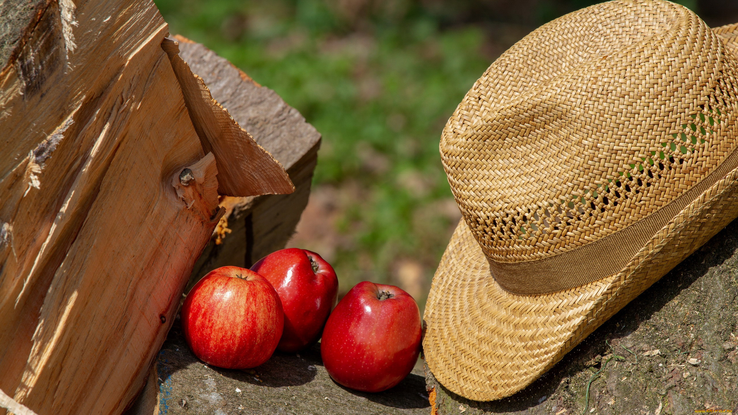 еда, яблоки, шляпа, краснобокие