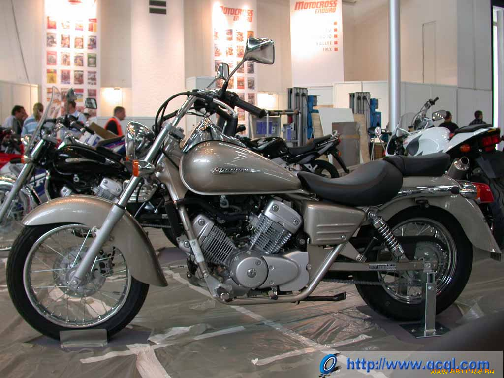 honda, shadow, мотоциклы