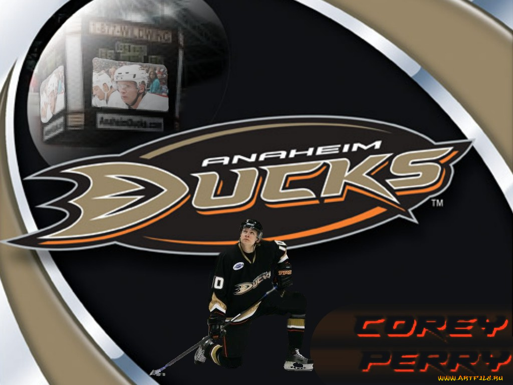 ducks, спорт, nhl